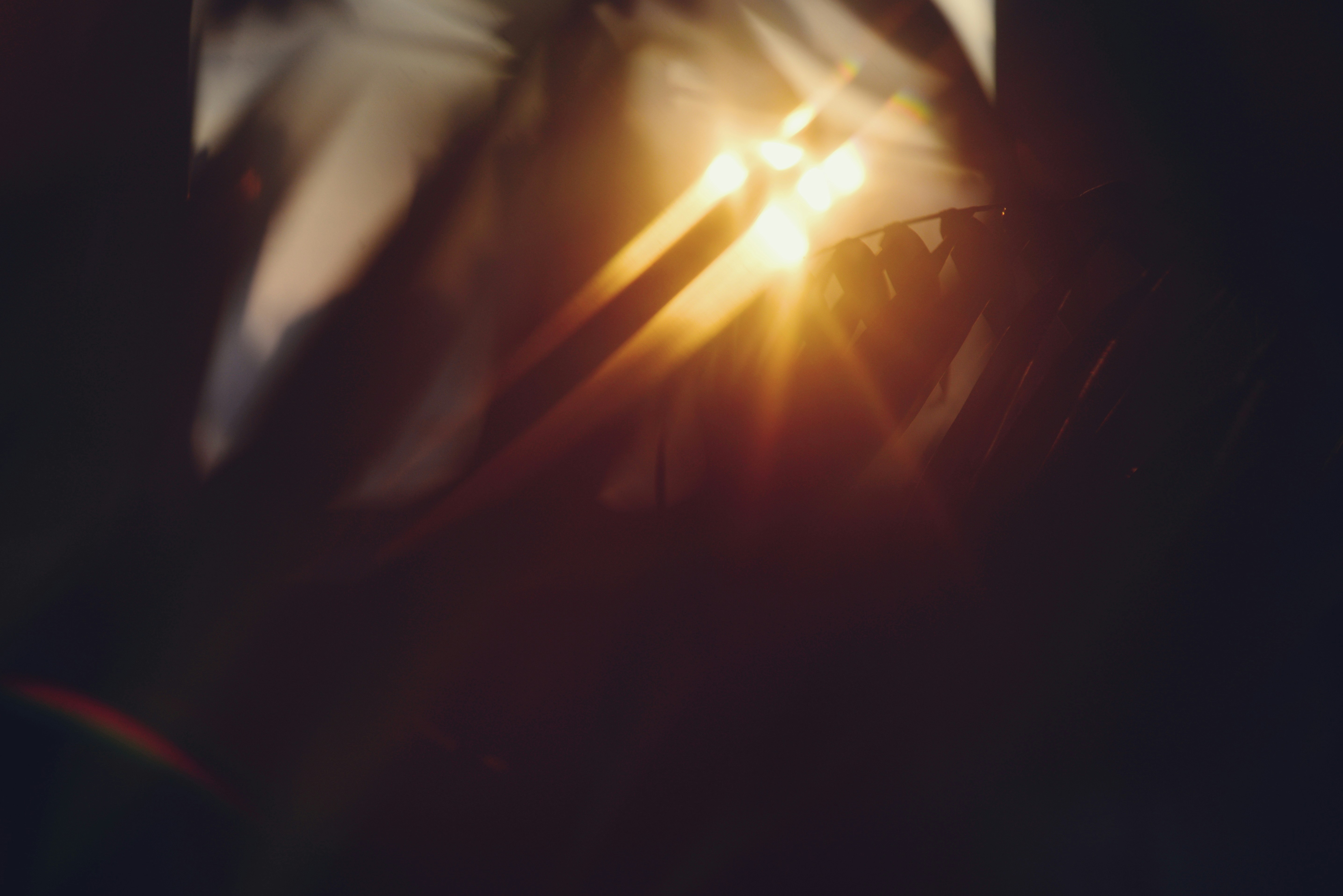 Photo by cherstve_pechivo