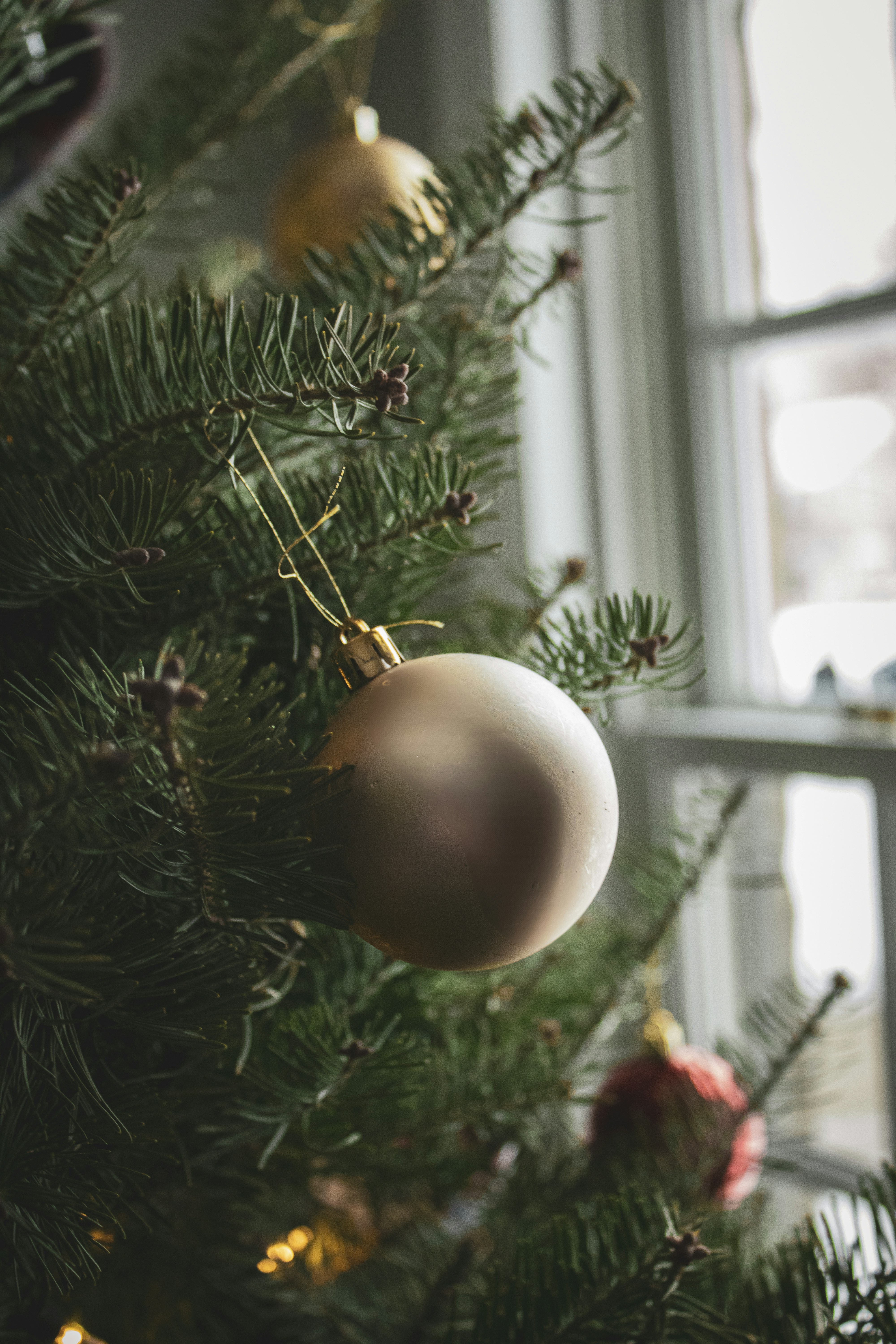 Photo by one23four56