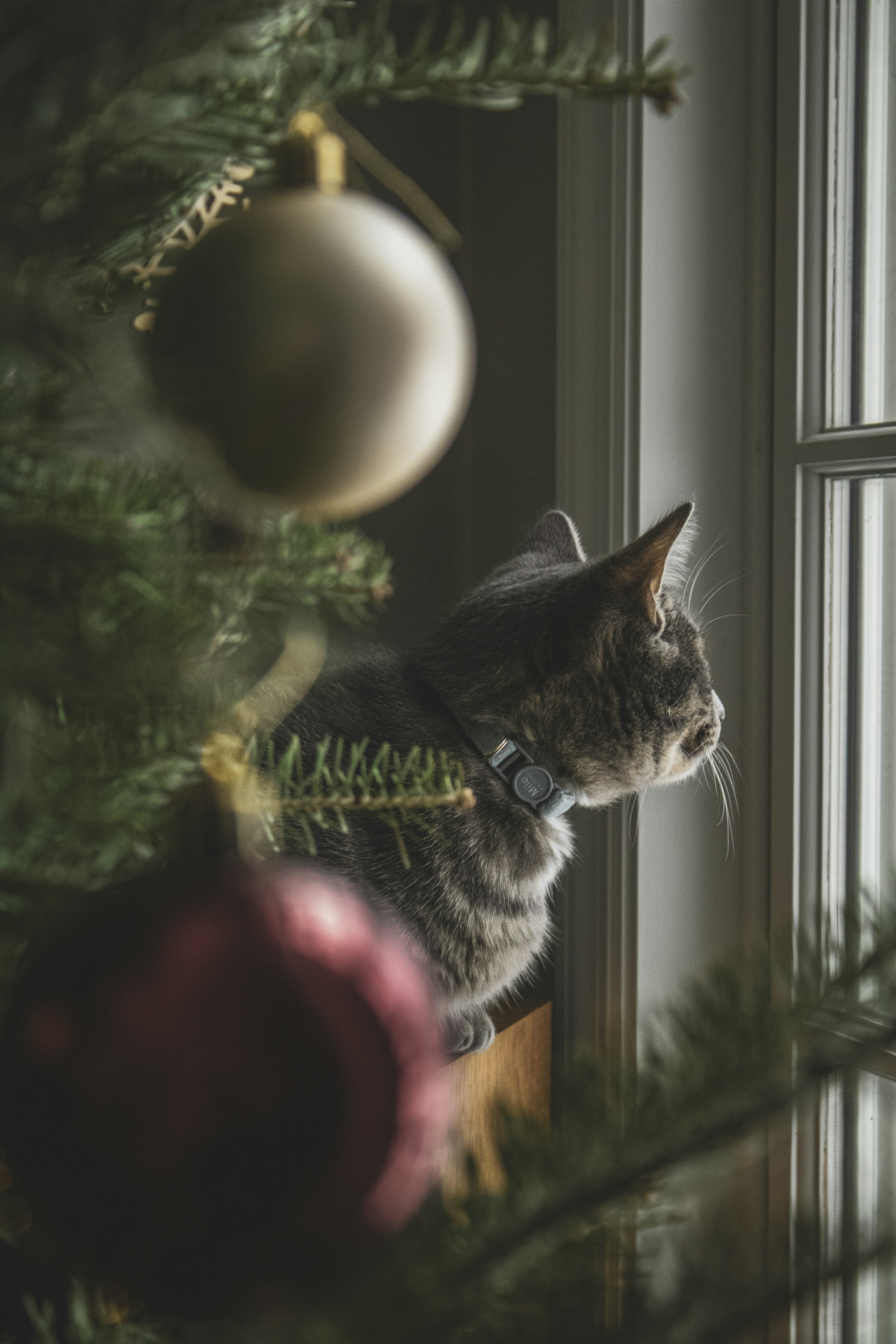 Photo by one23four56