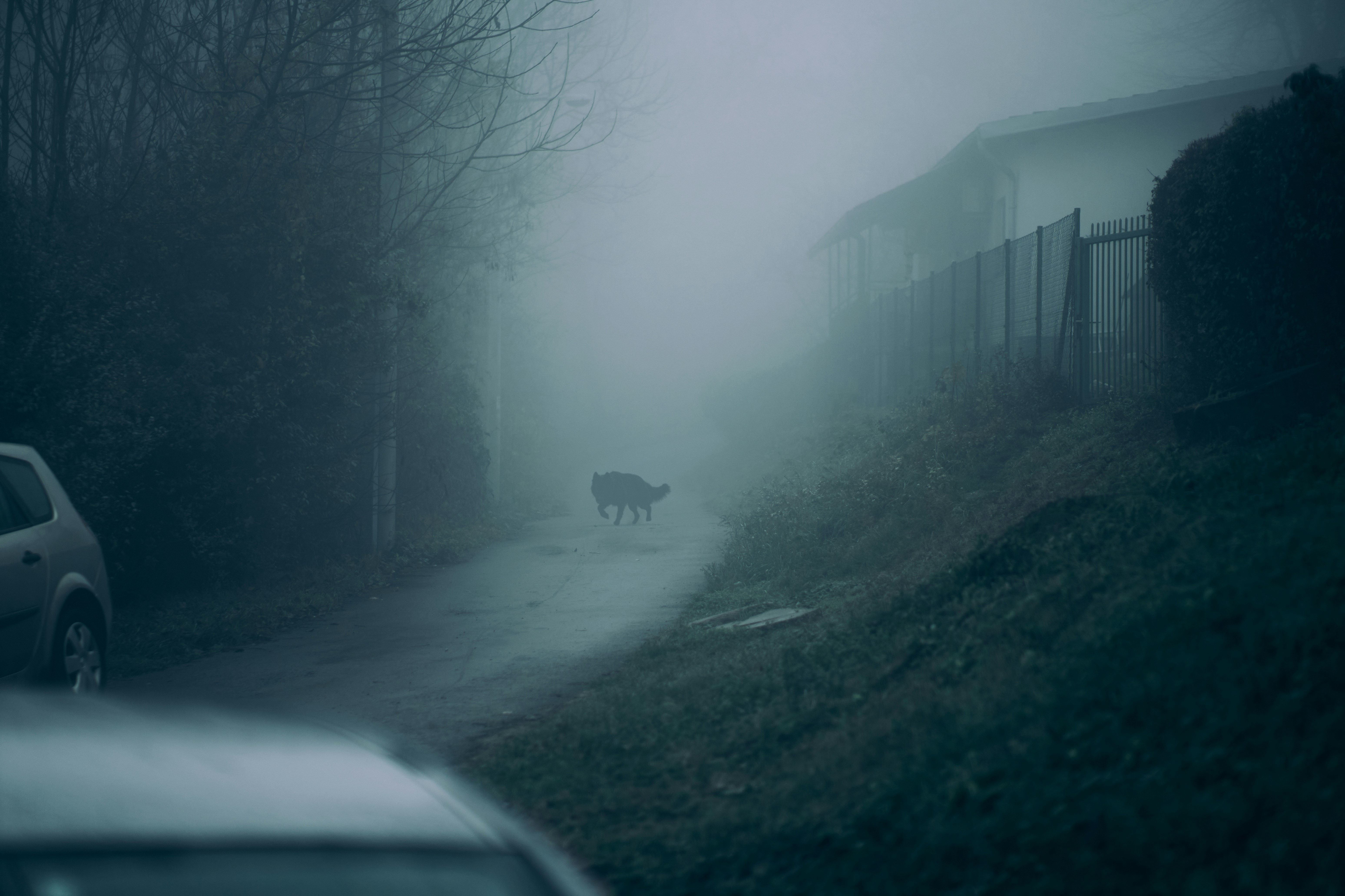 Photo by toffeeposibilities