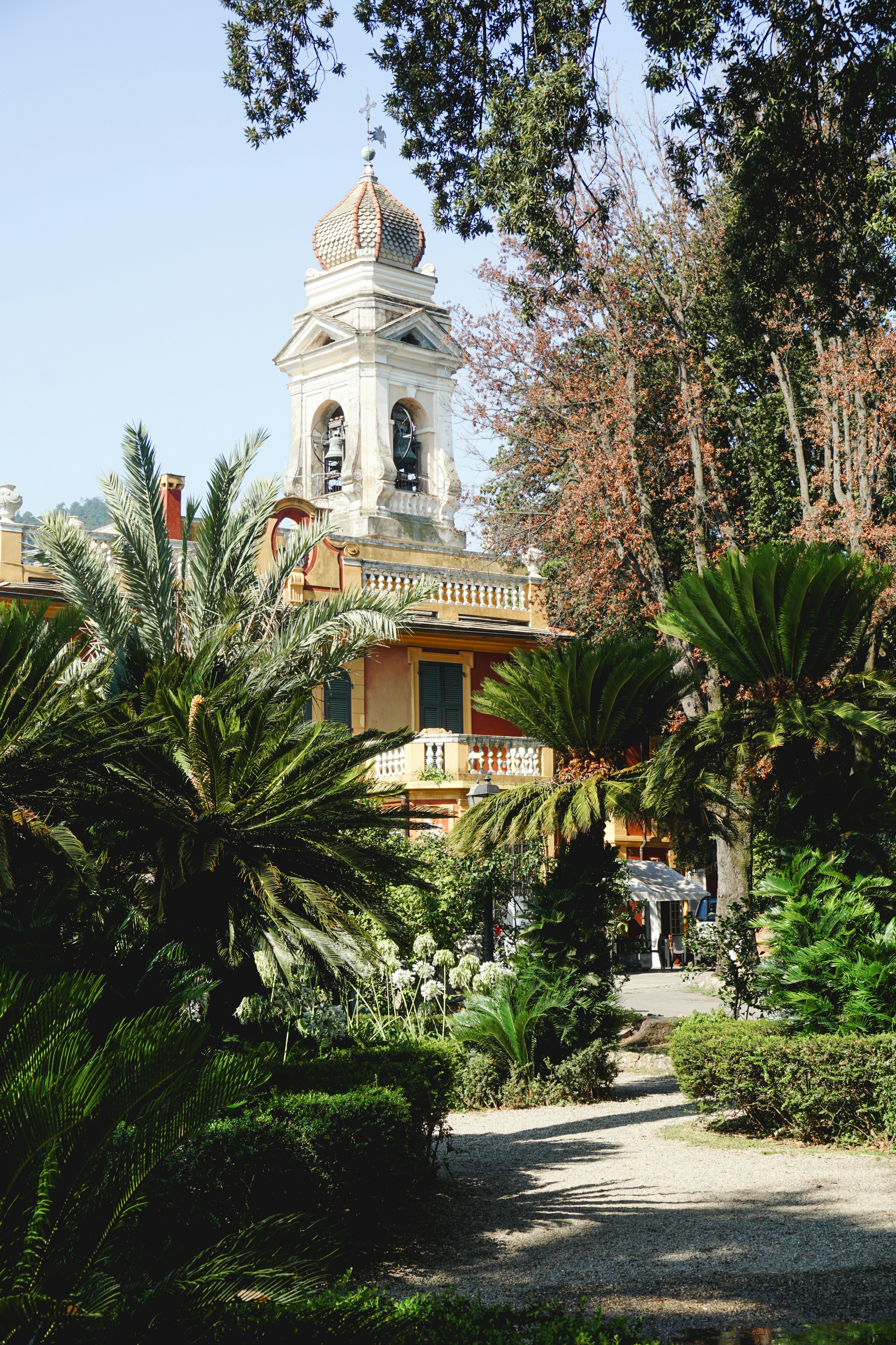 Church tower behind lush garden with palm trees.
