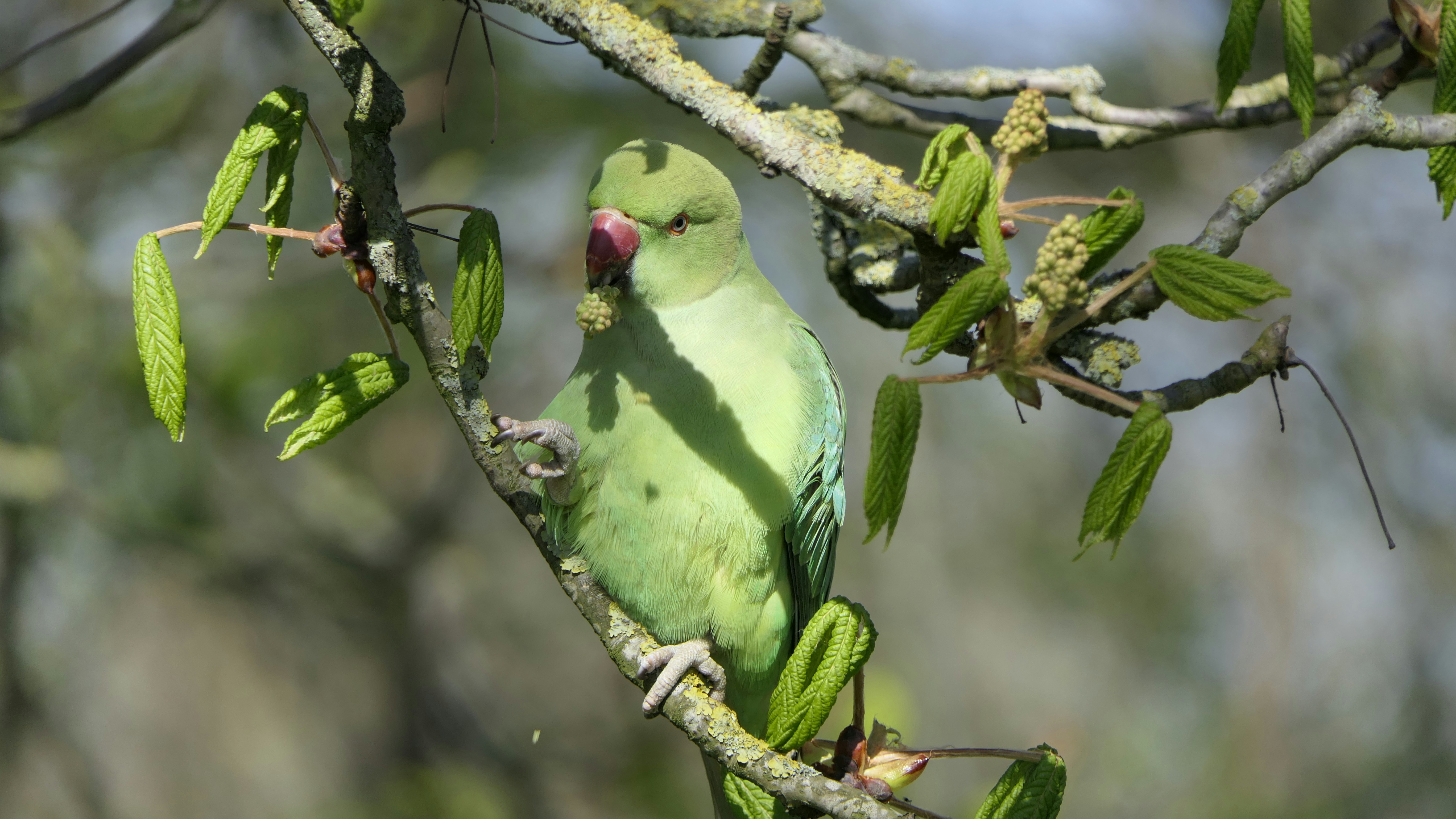 Photo by niall_smith