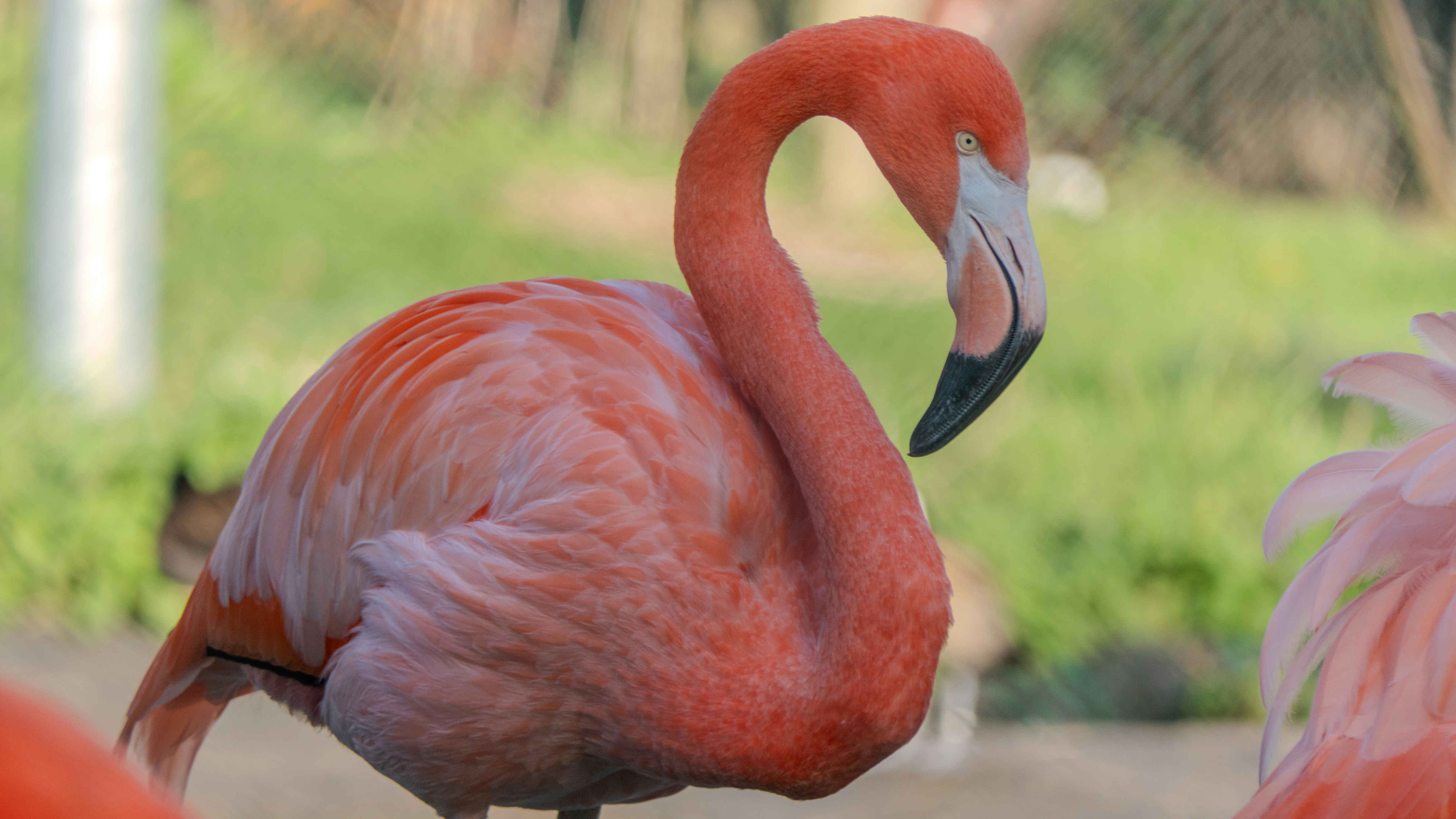 Photo by niall_smith