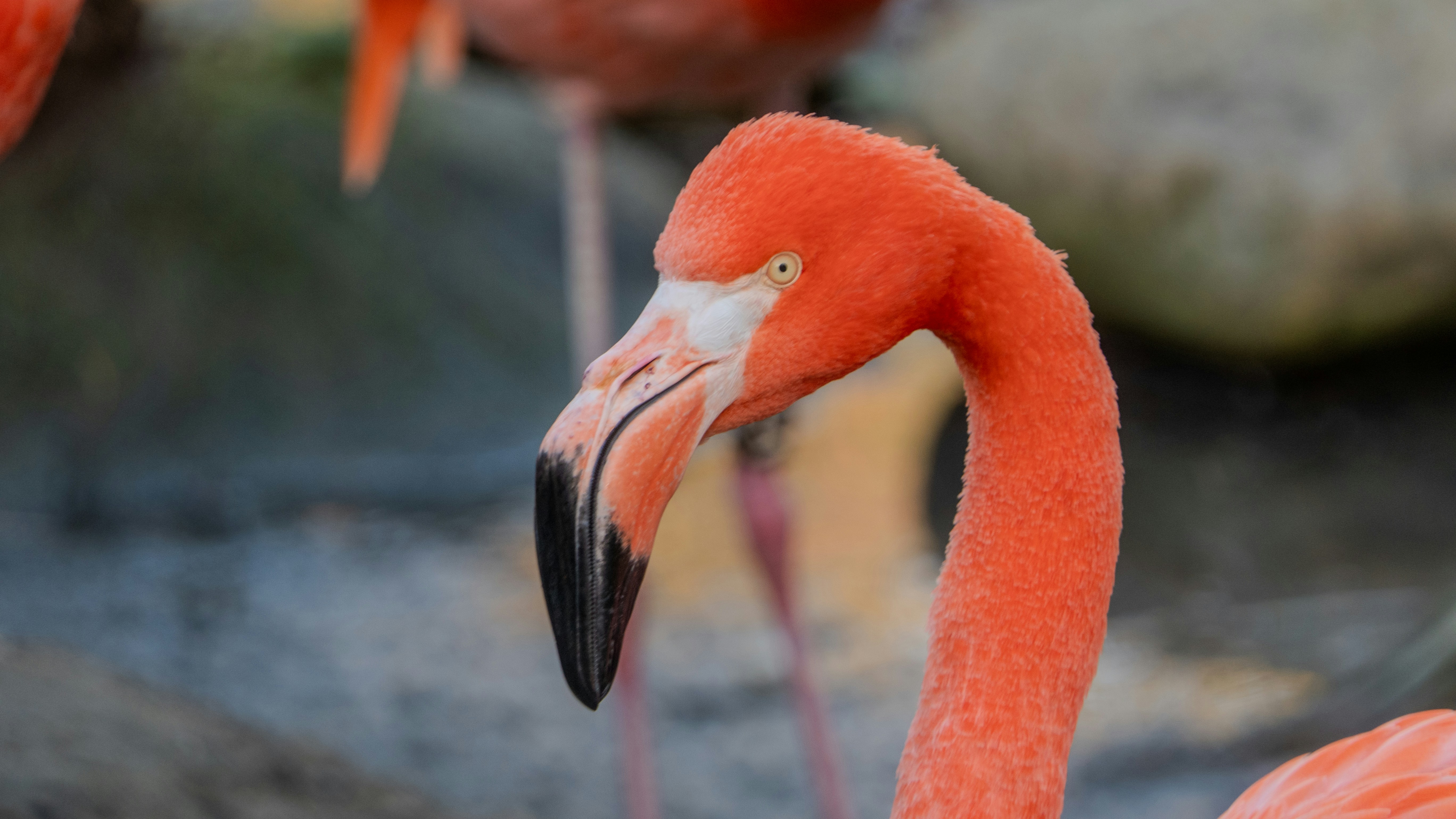 Photo by niall_smith