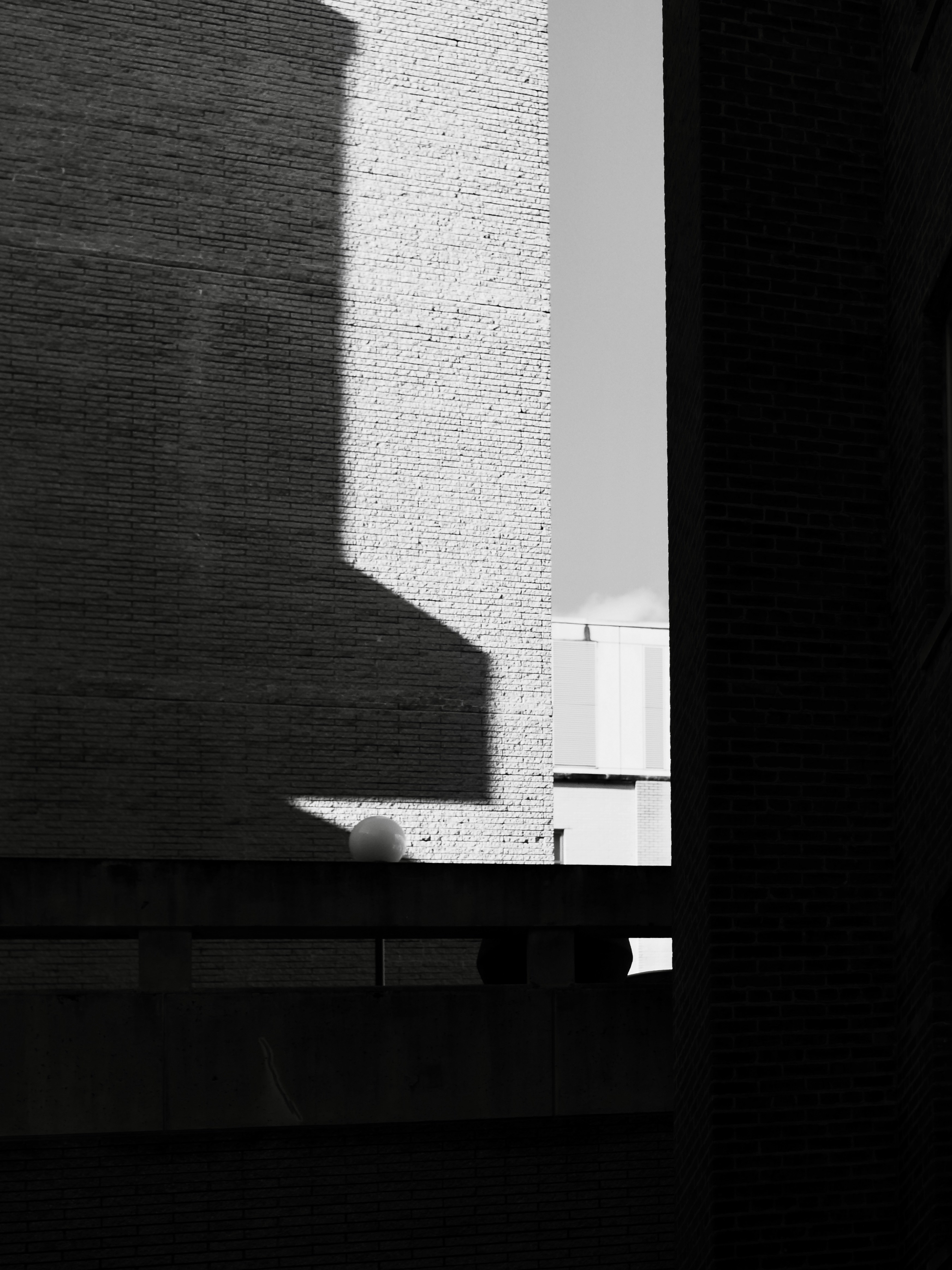 Photo by sschusterphotoart