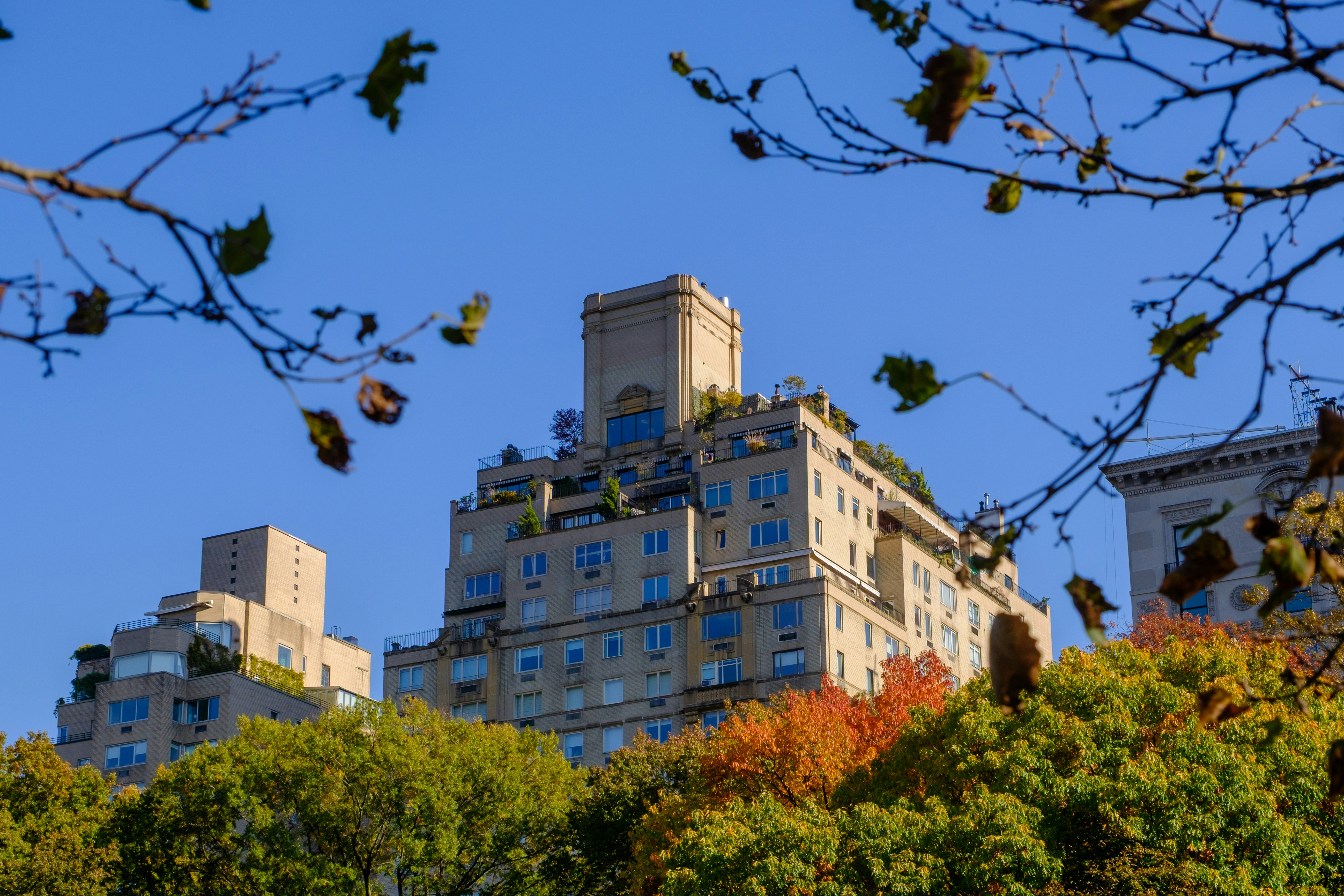 Success Stories: Homeowners Who Transformed Their Houses with New Roofs