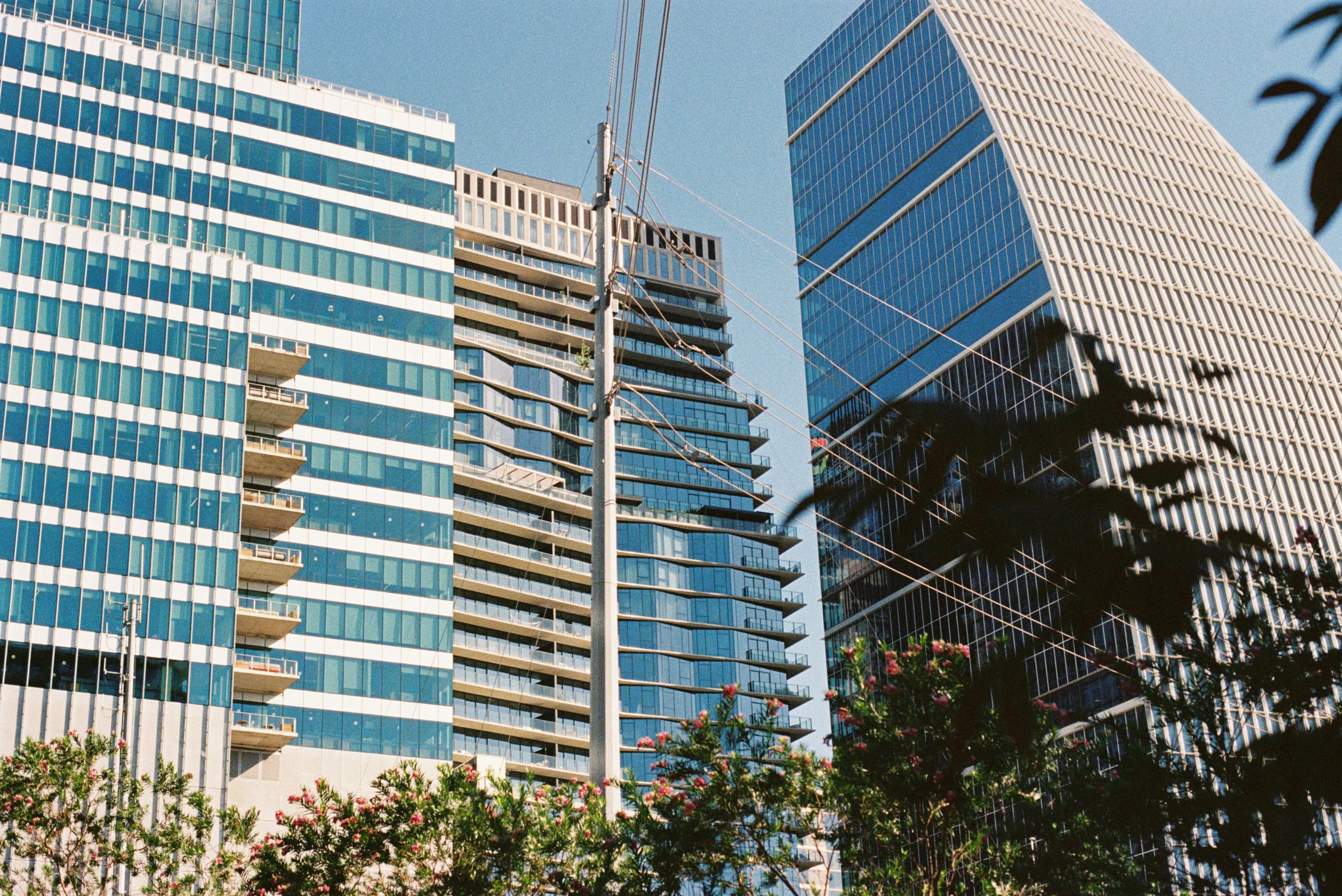 Young, Ambitious, and Headed South: The Generational Shift Rewriting Texas's Economic Story
