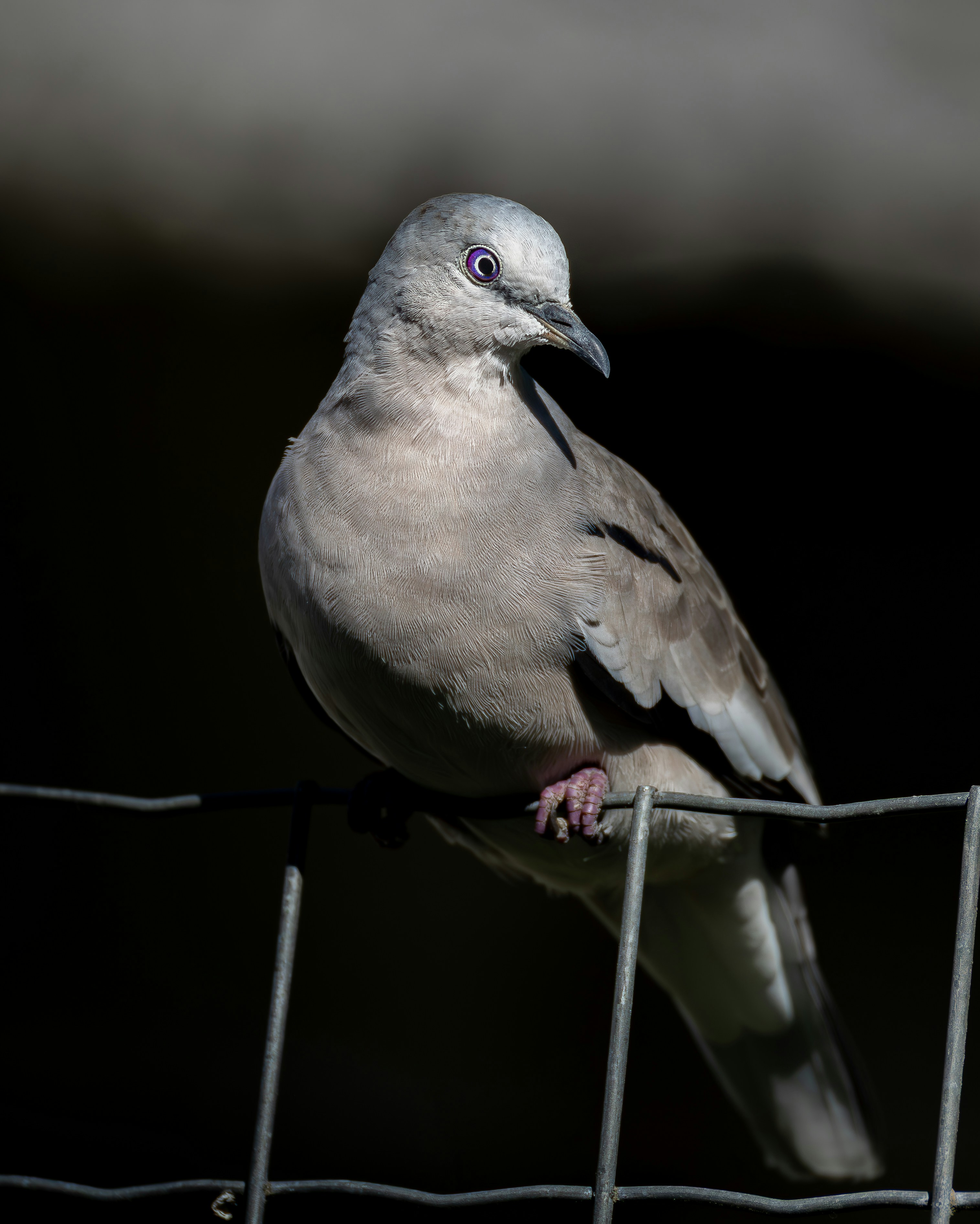 Photo by matheuskprot