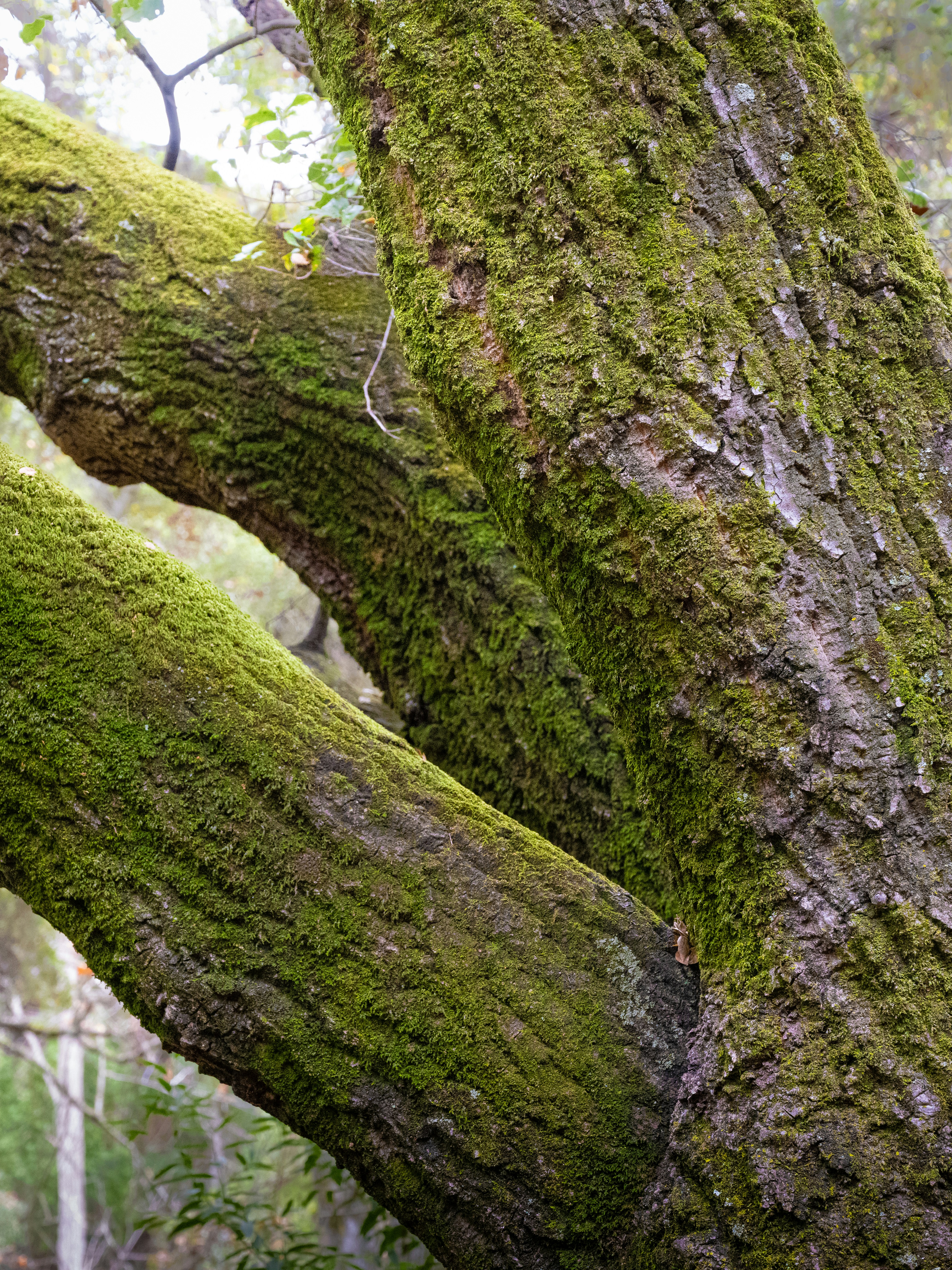 Photo by elijahjcobb