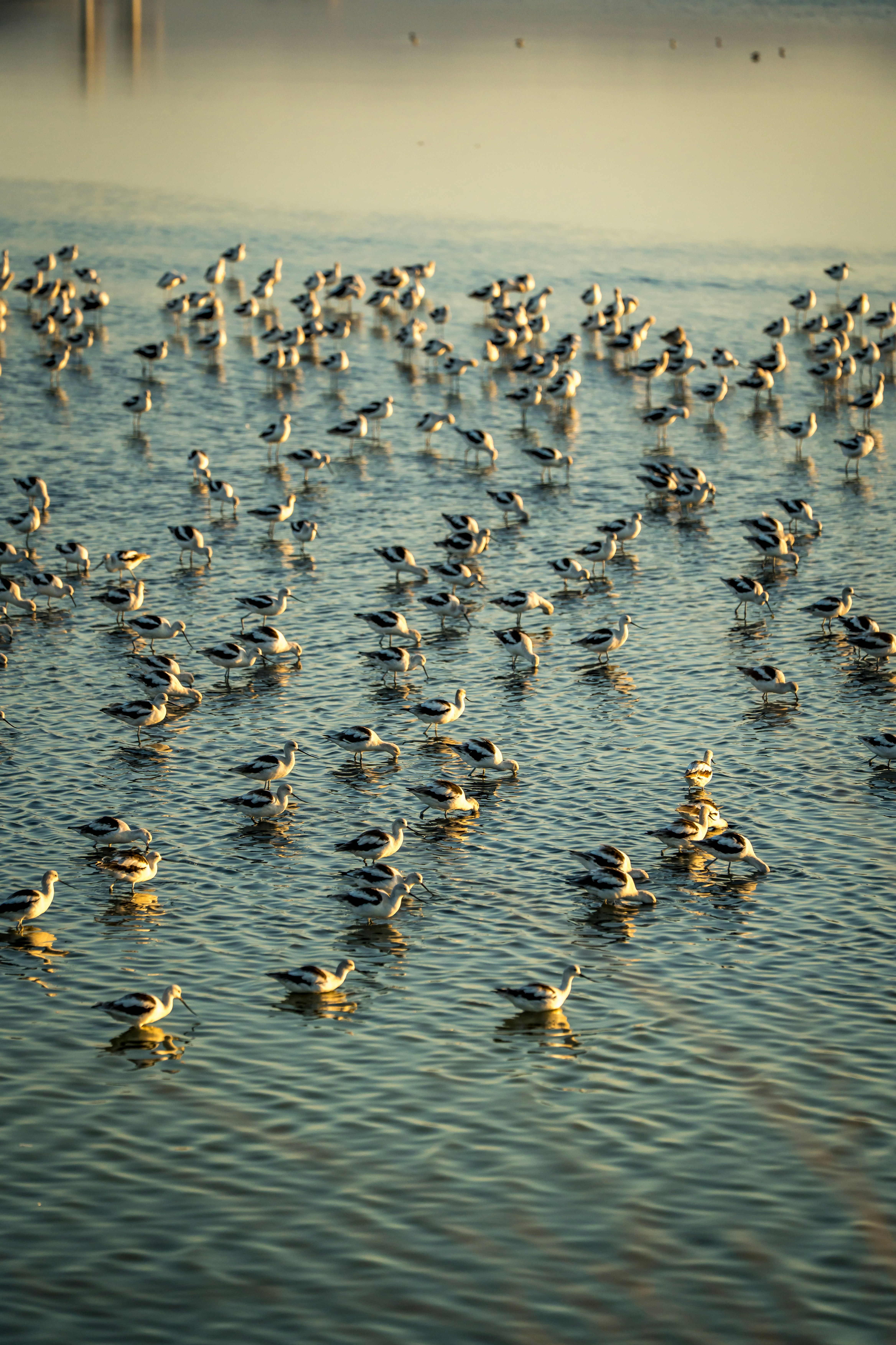 Photo by samtakespictures