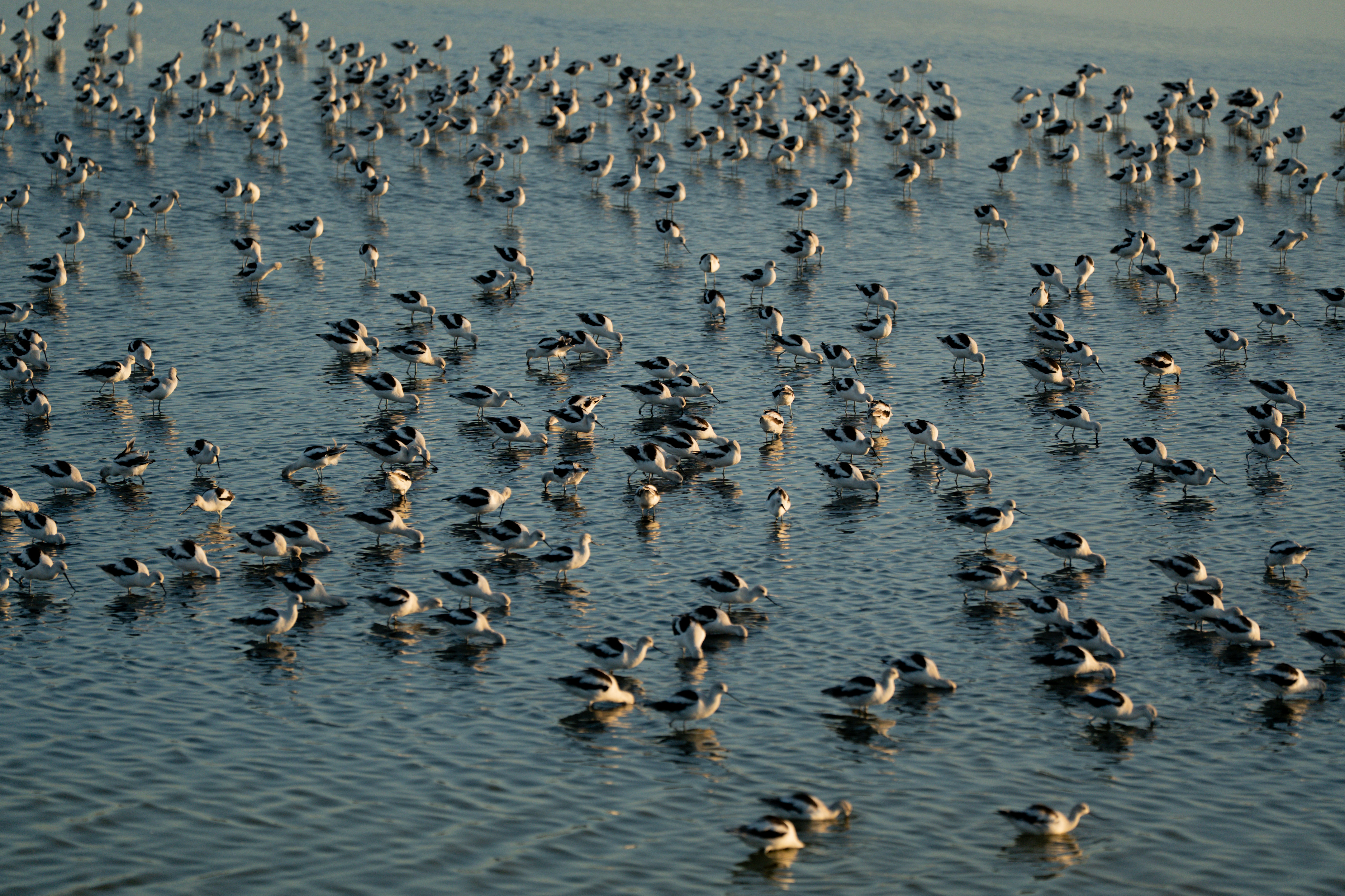 Photo by samtakespictures