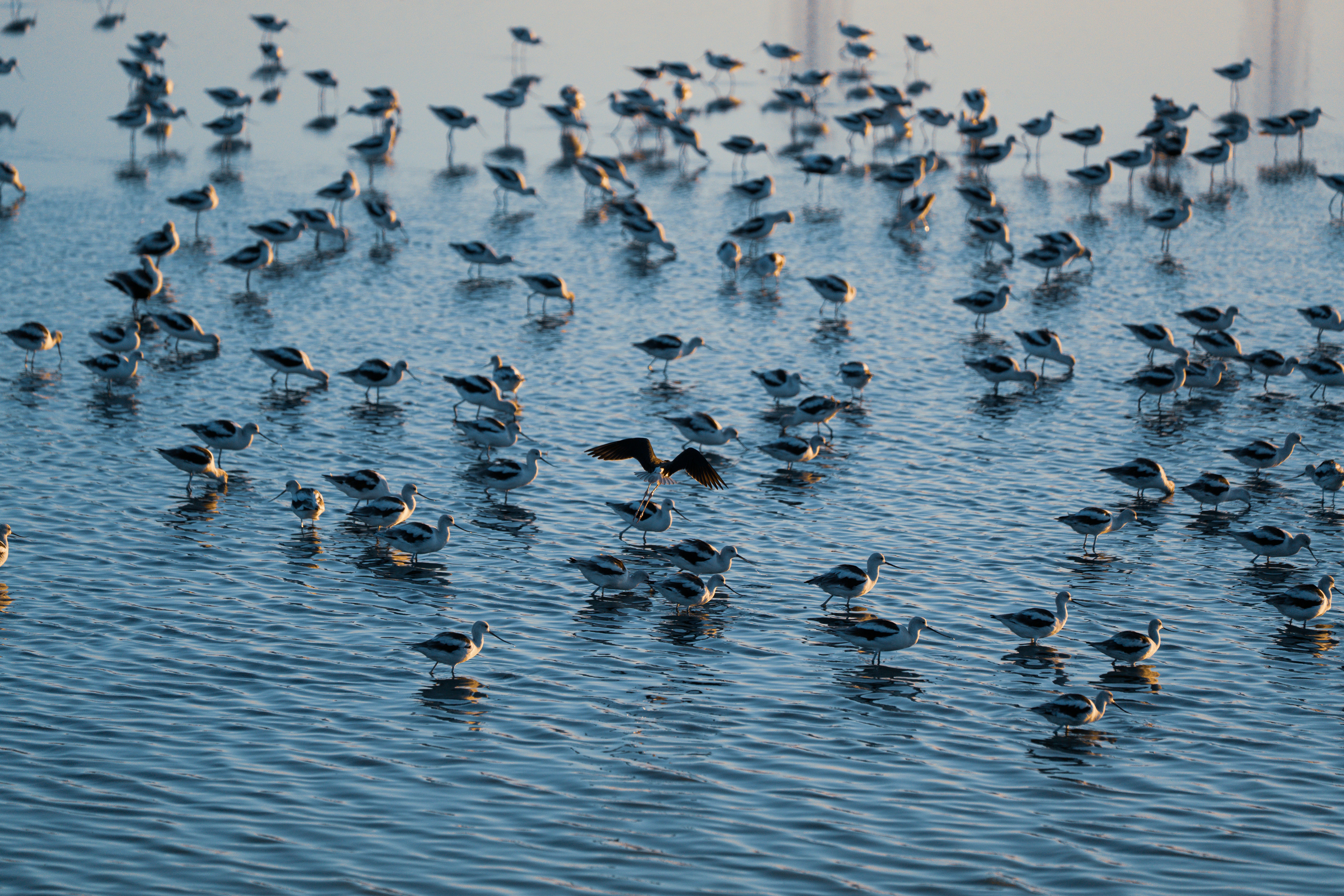 Photo by samtakespictures