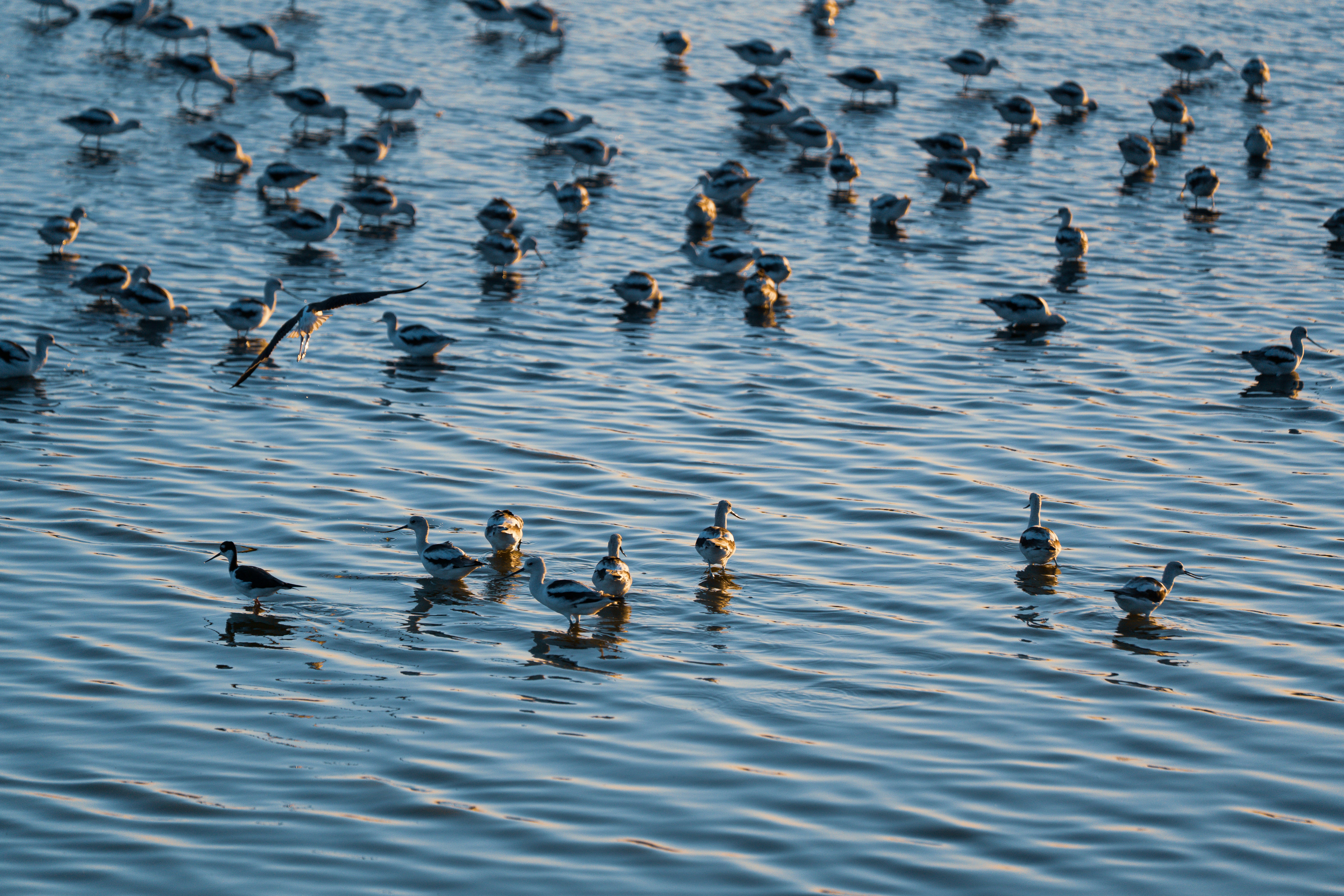 Photo by samtakespictures