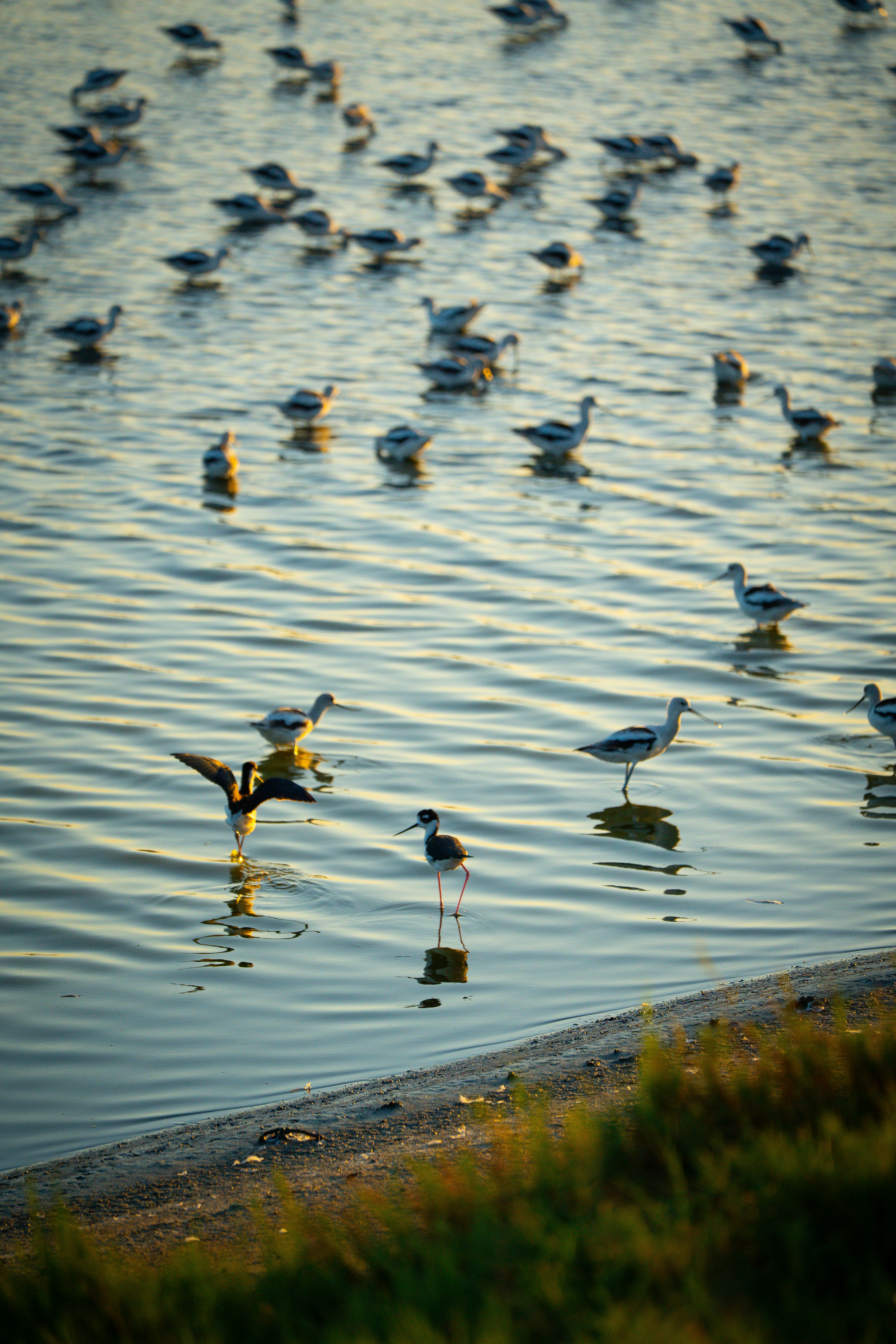 Photo by samtakespictures