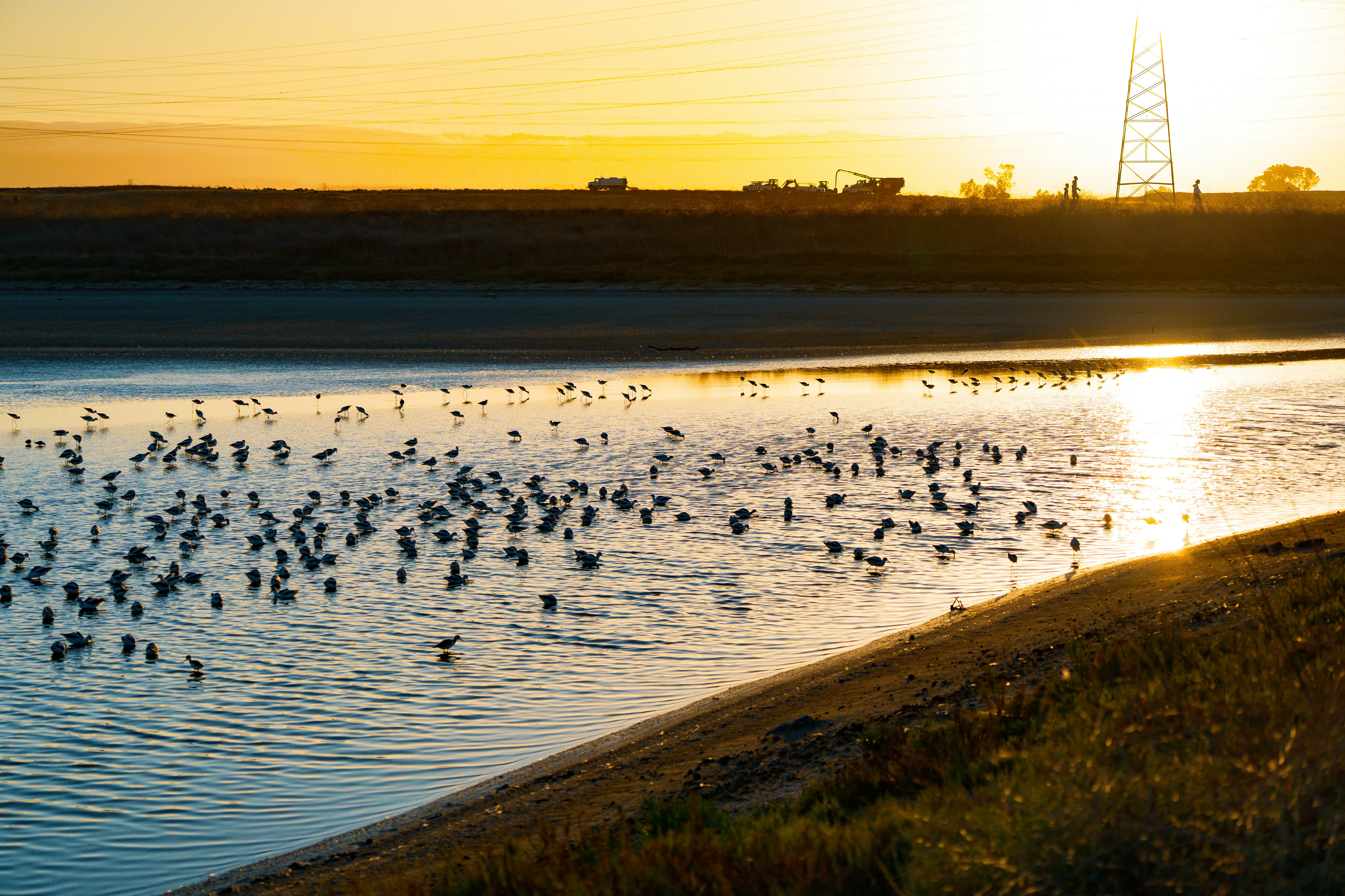 Photo by samtakespictures