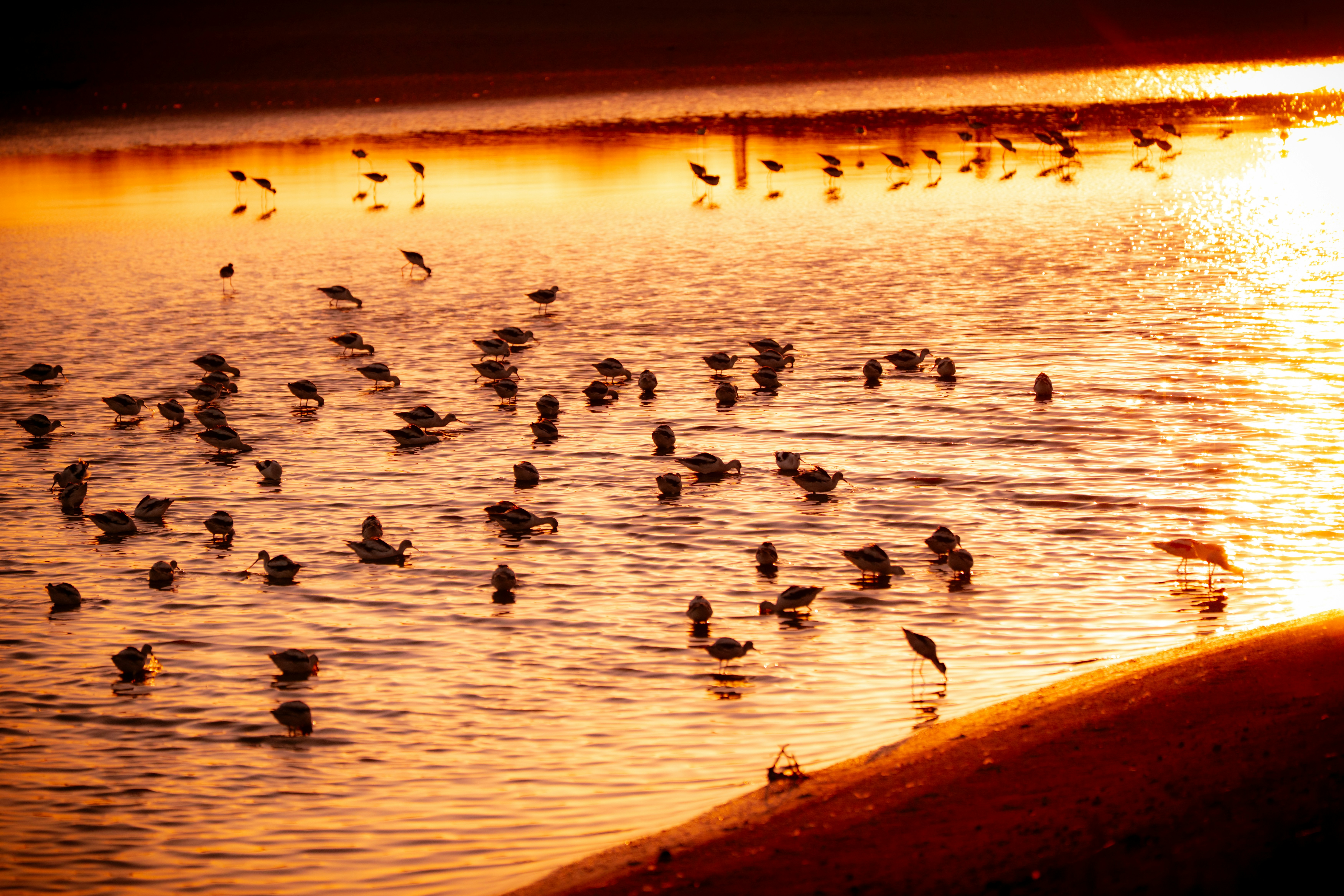 Photo by samtakespictures