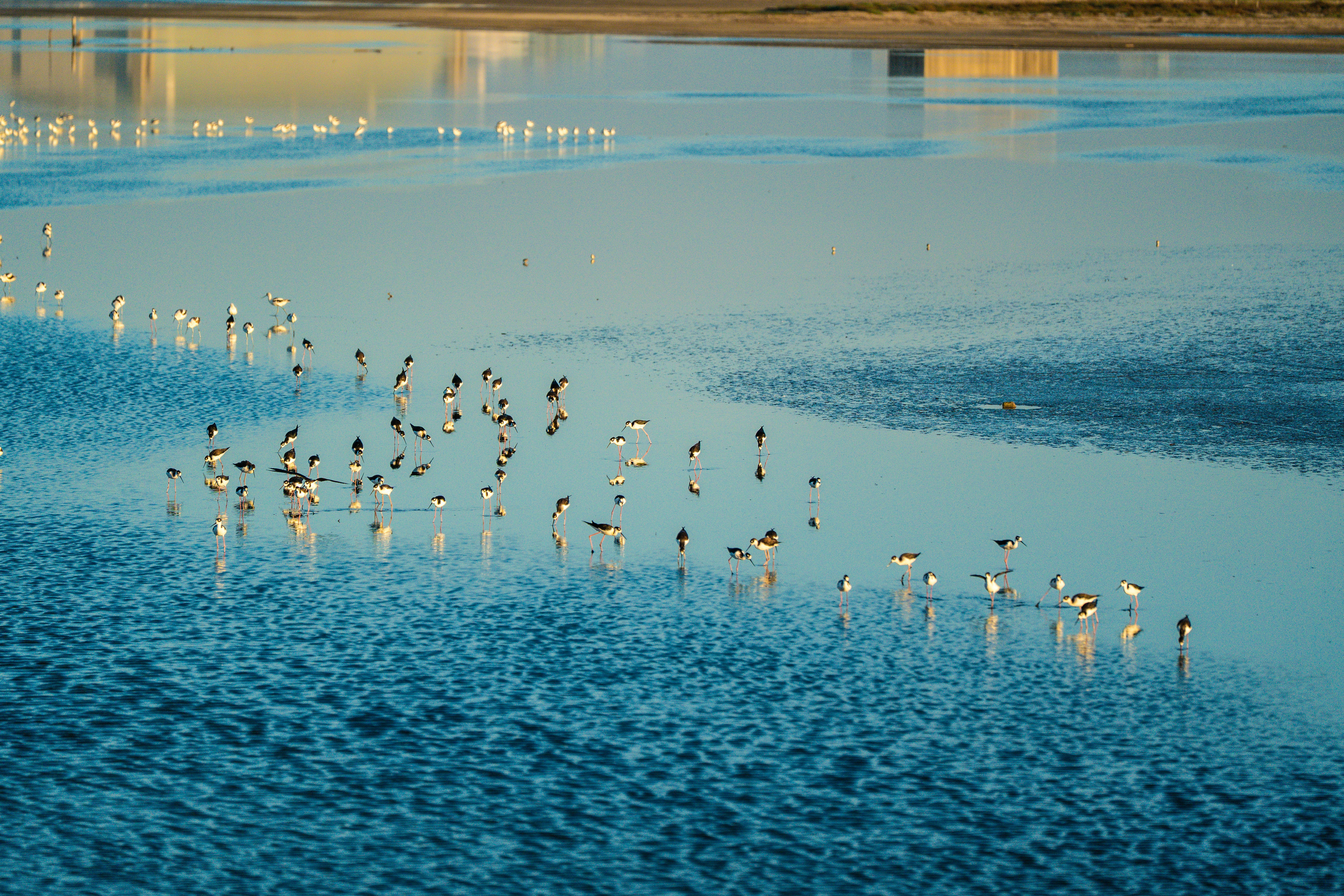 Photo by samtakespictures