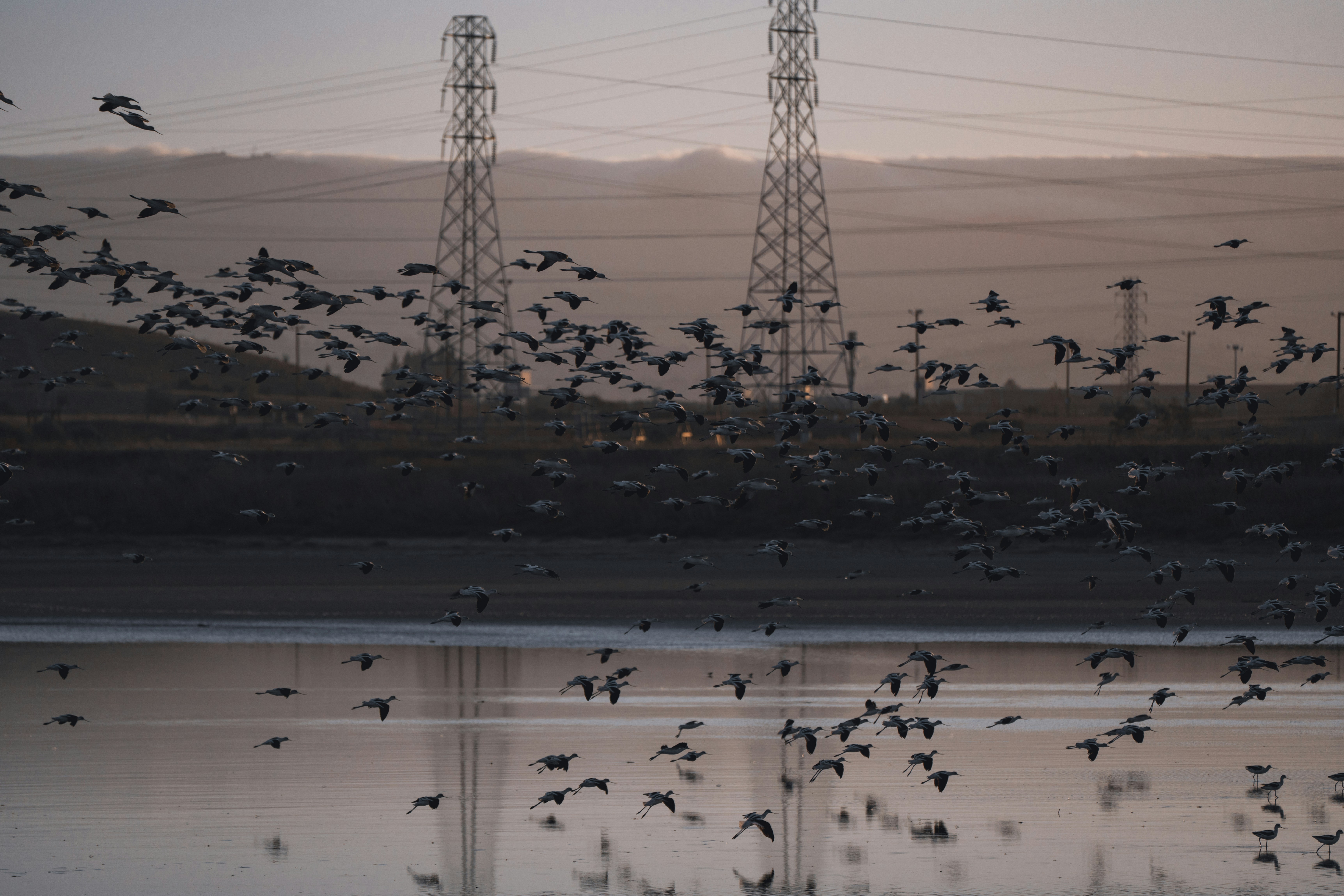 2026 Alert: Meta Oversight Board Demands AI Moderation Overhaul episode artwork