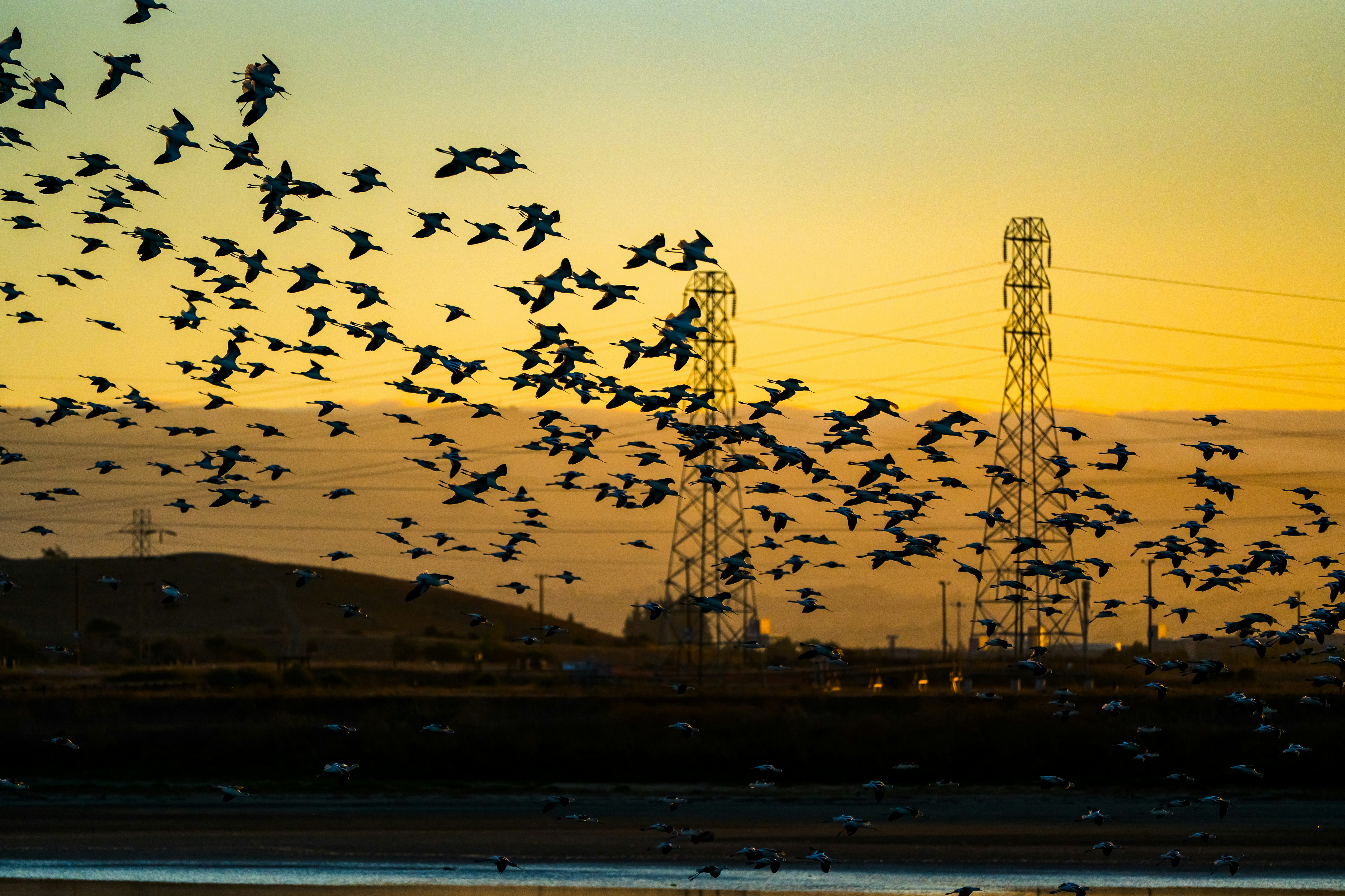 Photo by samtakespictures