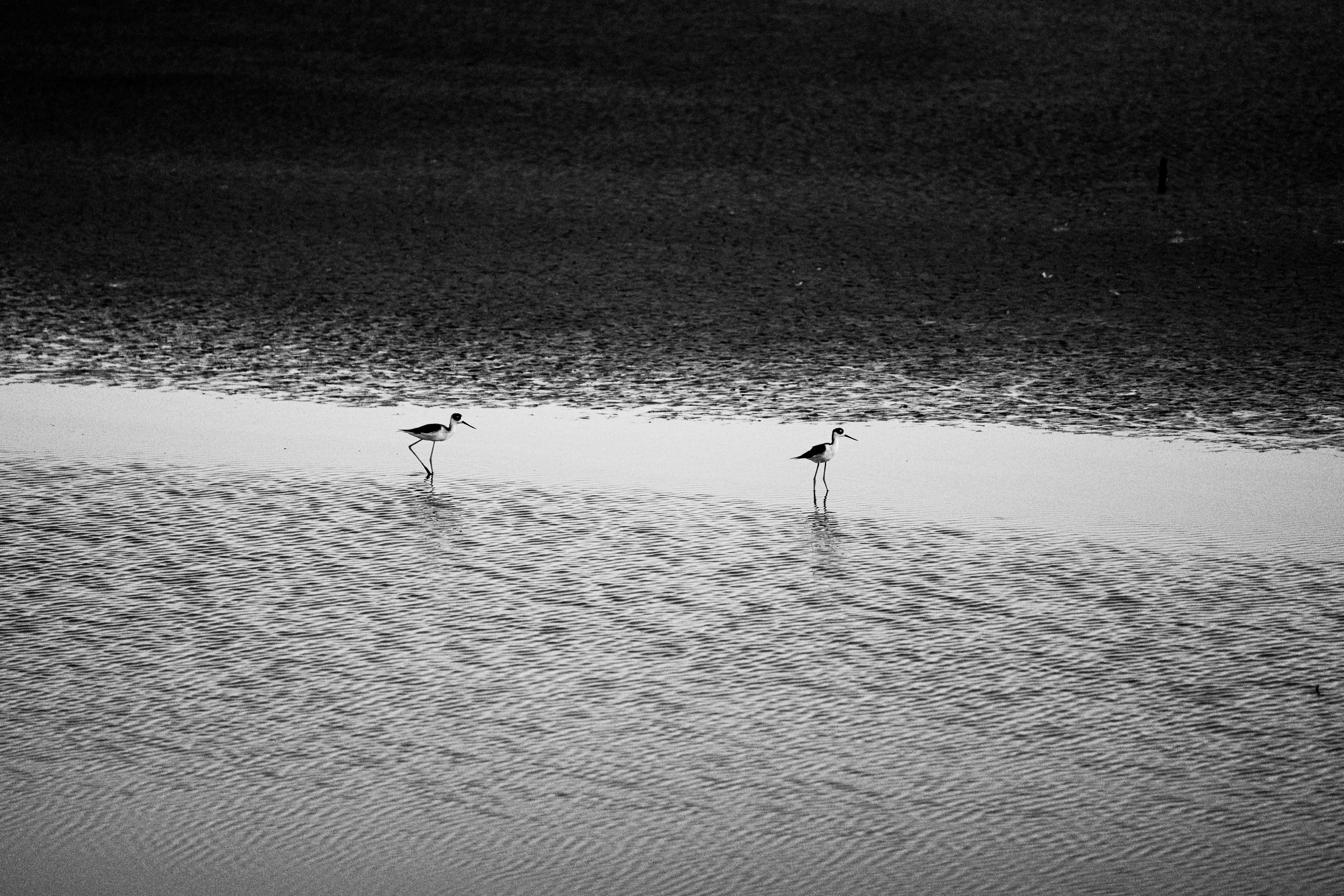 Photo by samtakespictures