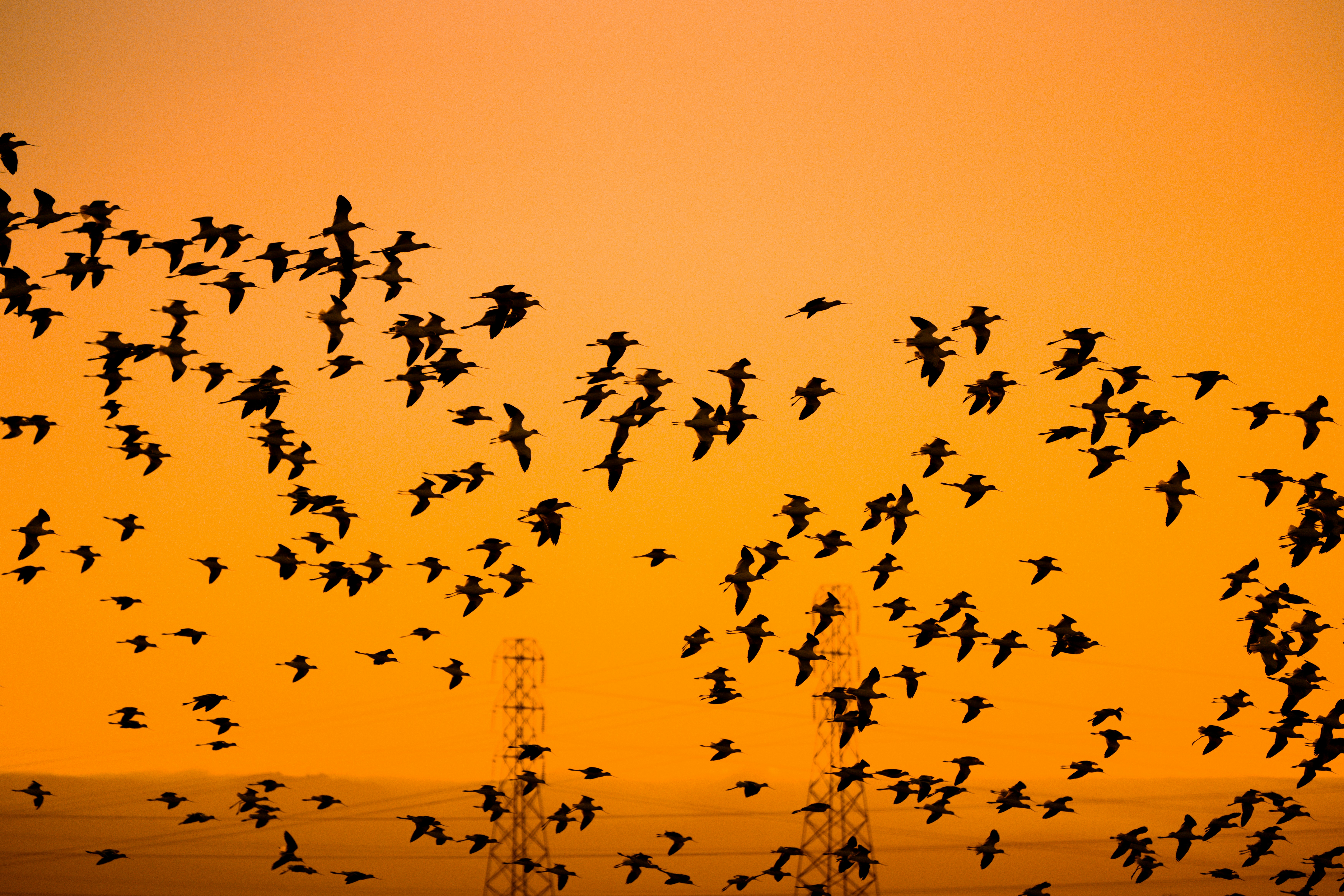 Photo by samtakespictures