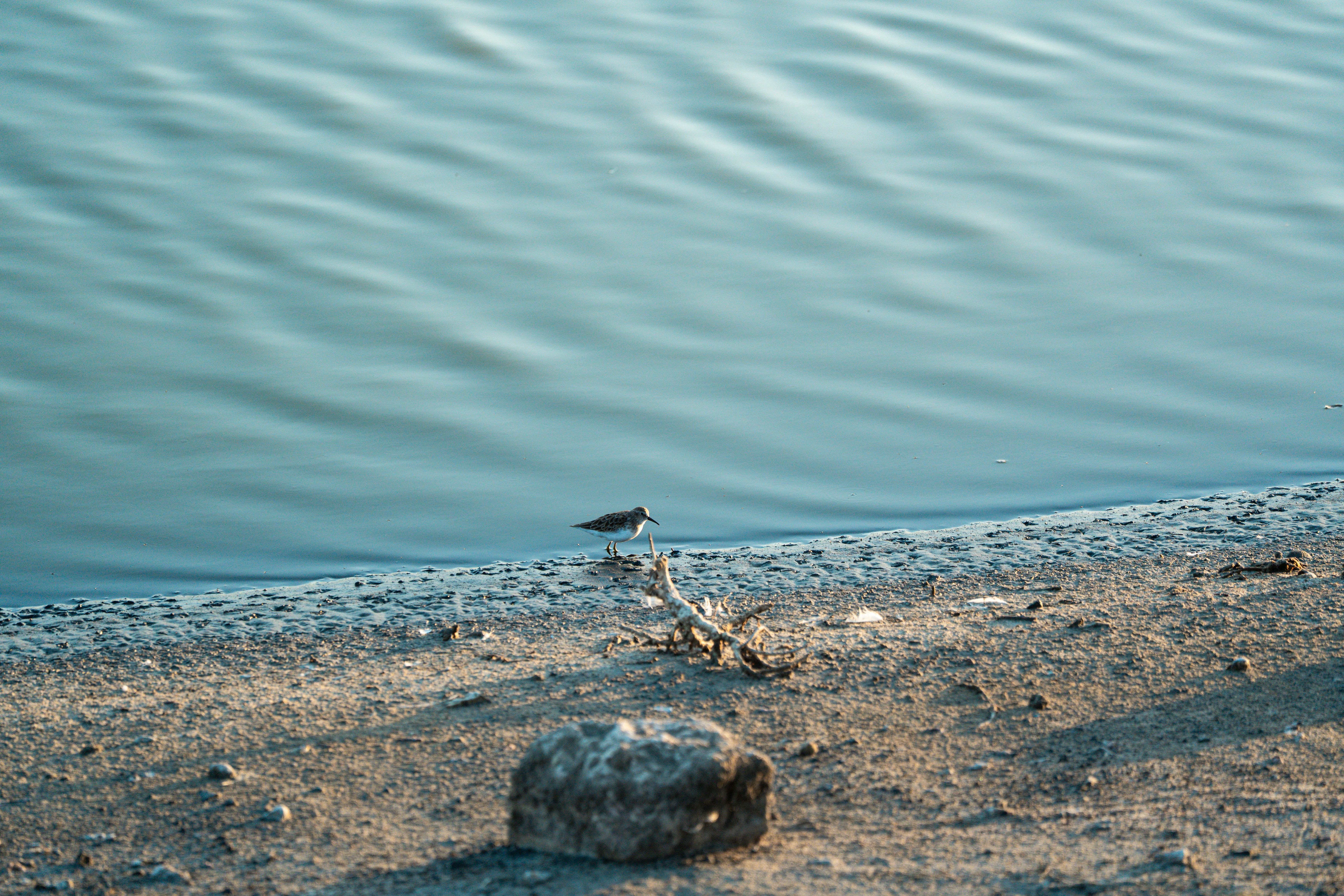 Photo by samtakespictures