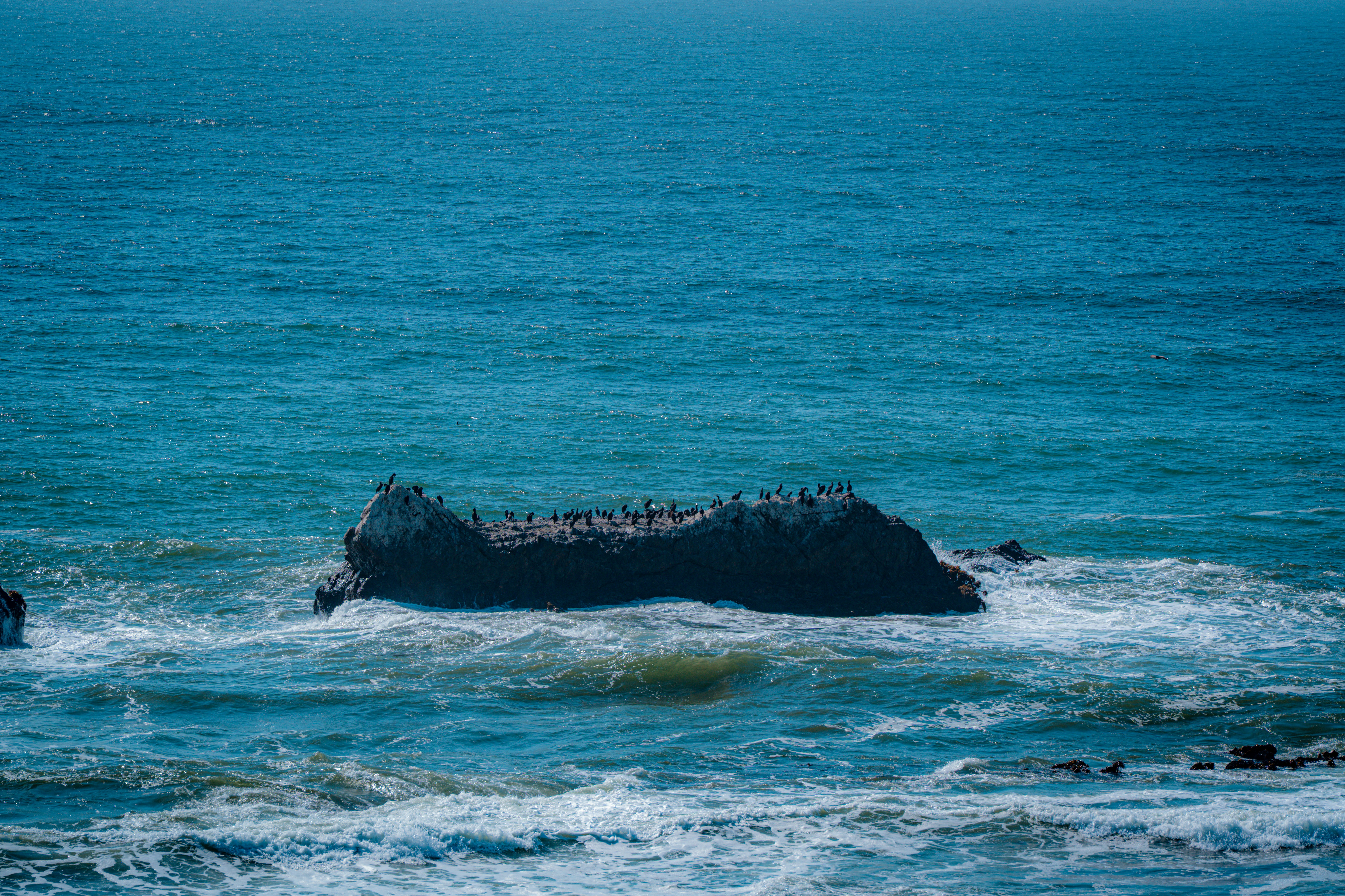 Photo by samtakespictures