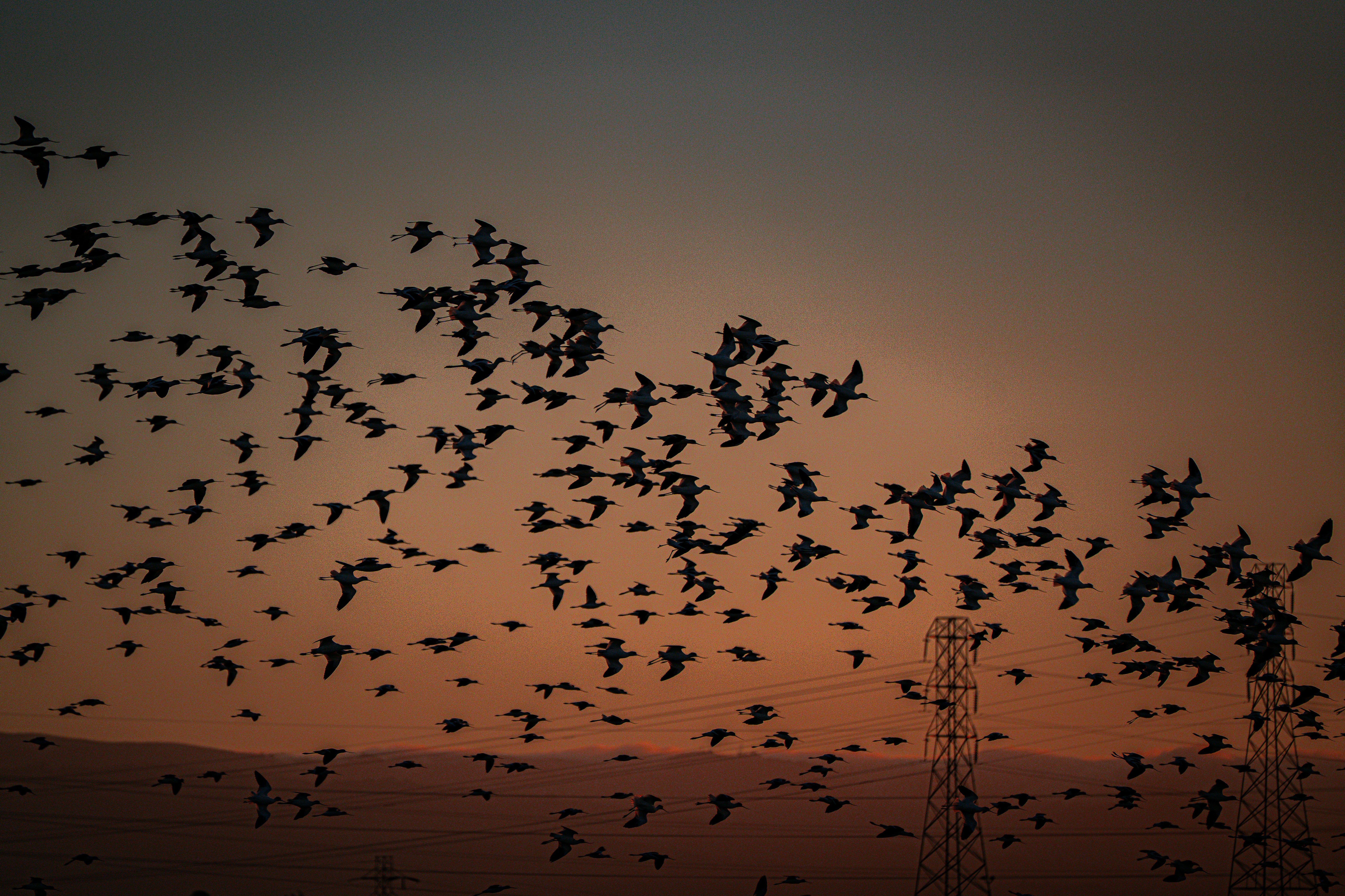 Photo by samtakespictures