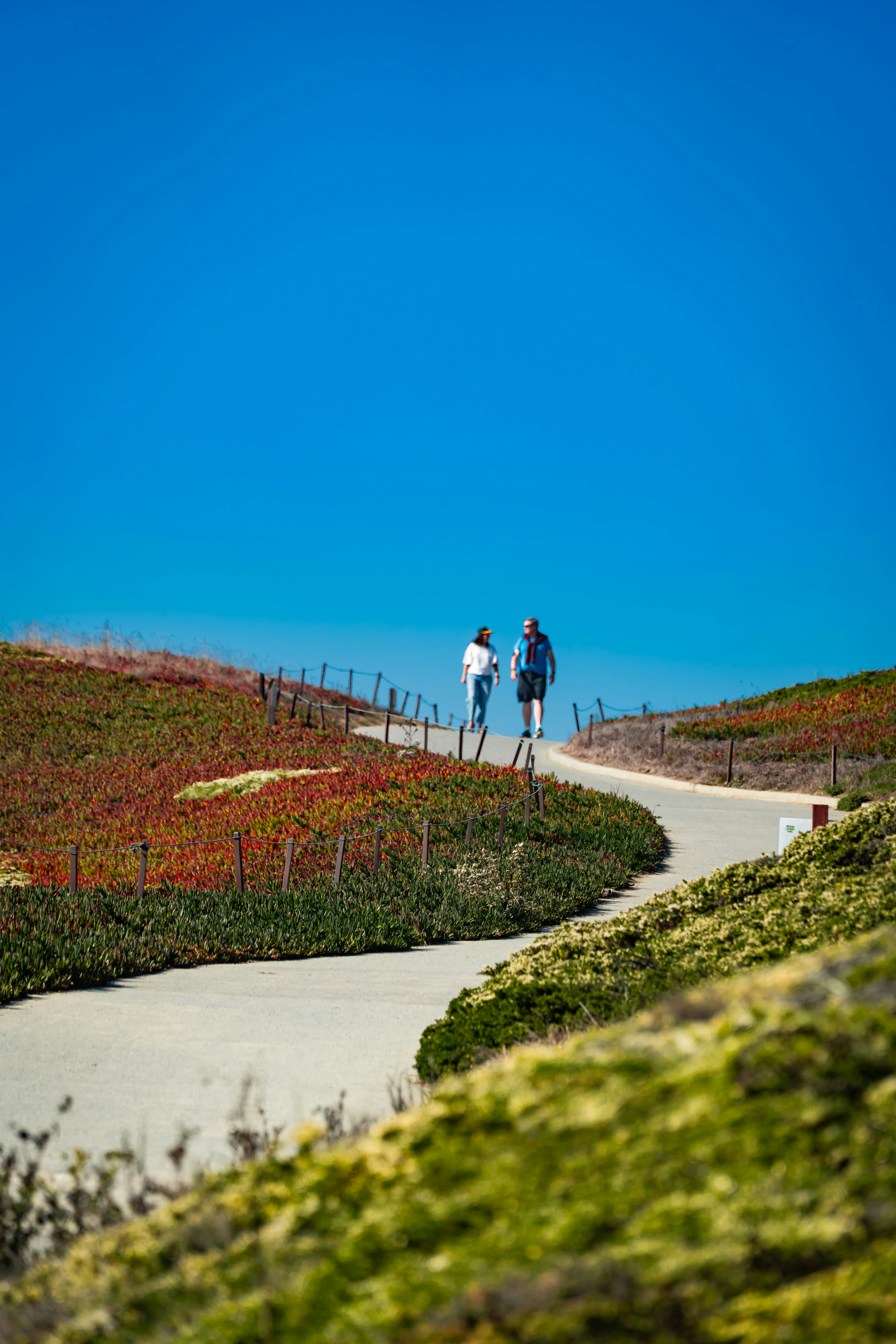 Two people walking on a coastal path