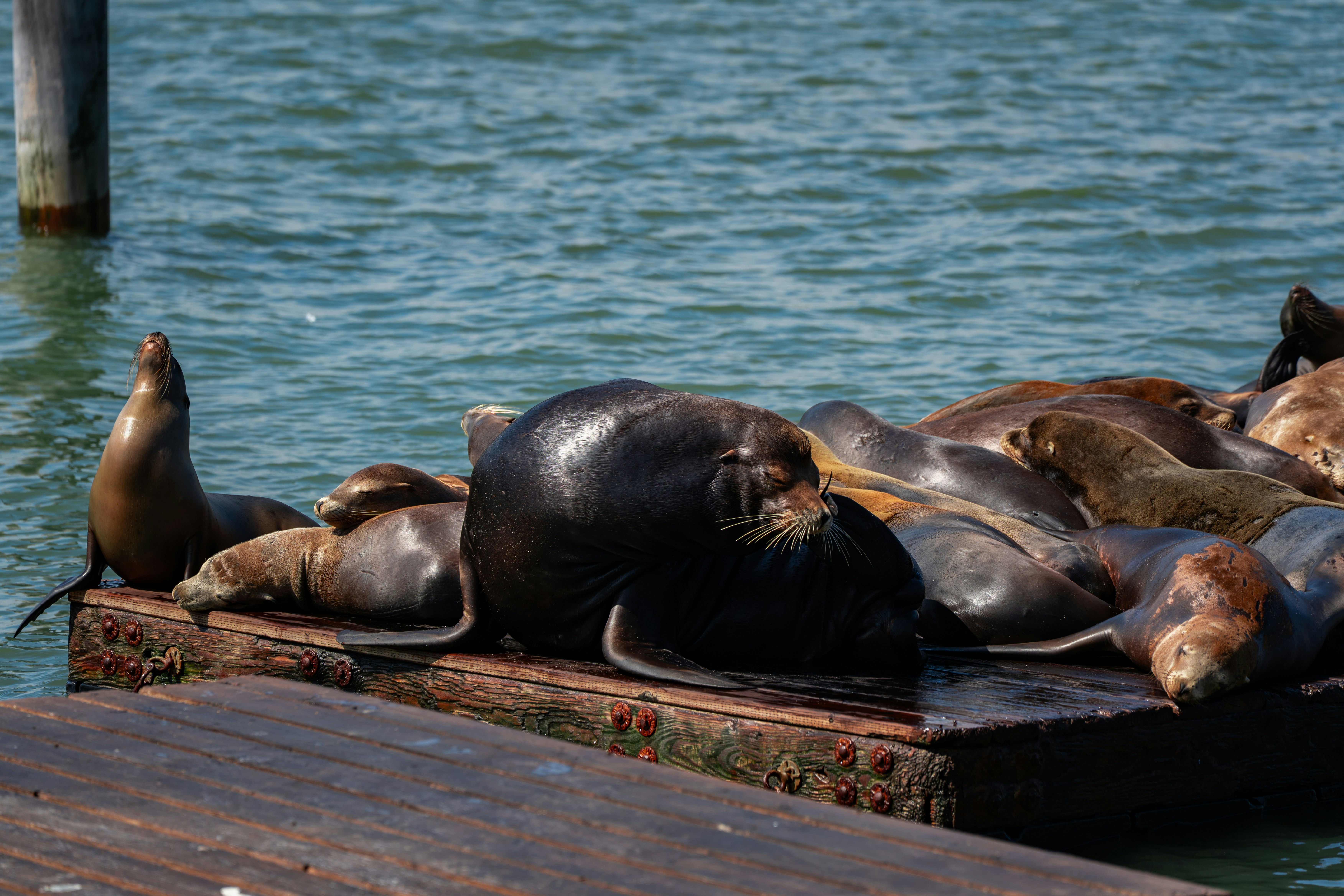 Photo by samtakespictures