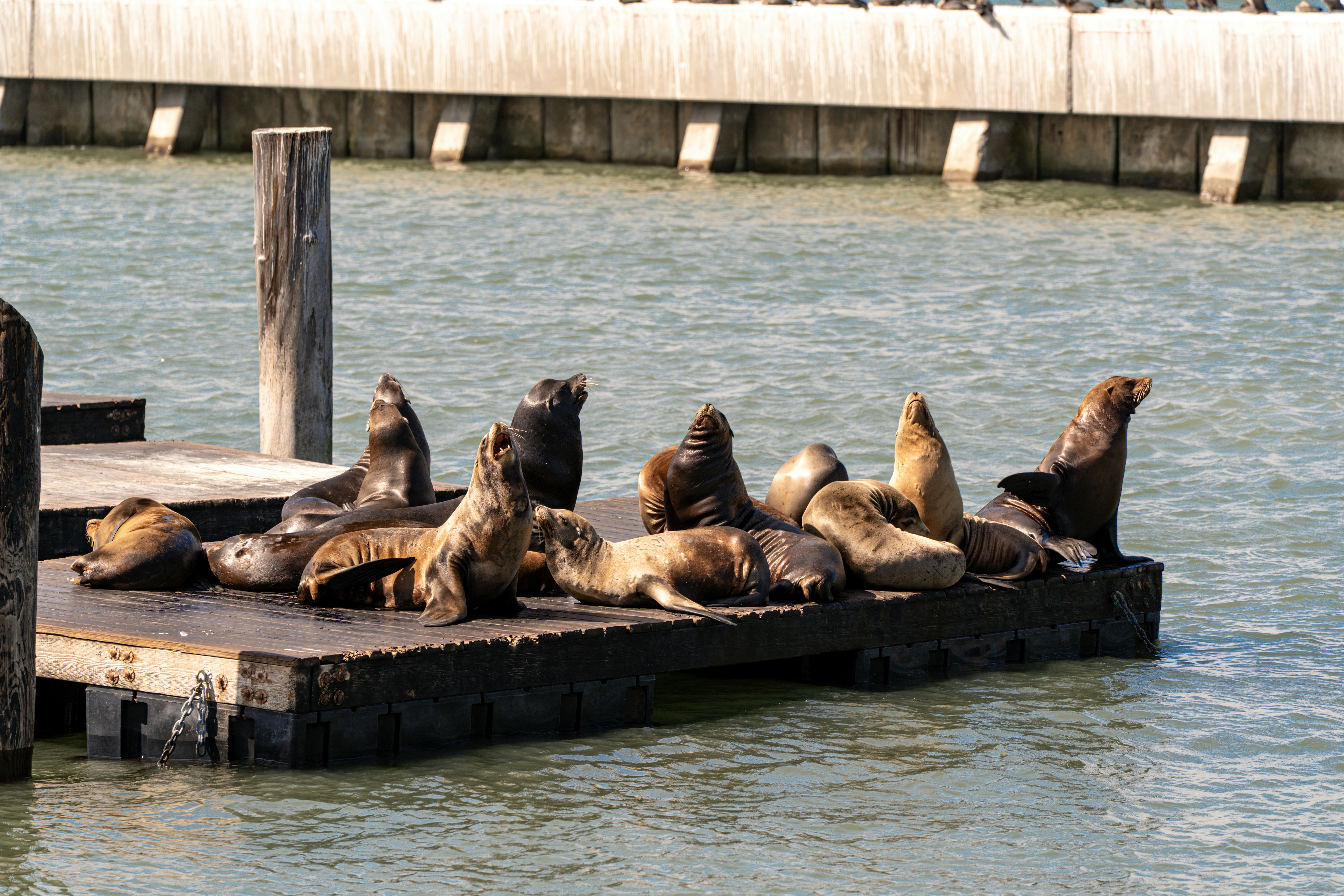 Photo by samtakespictures