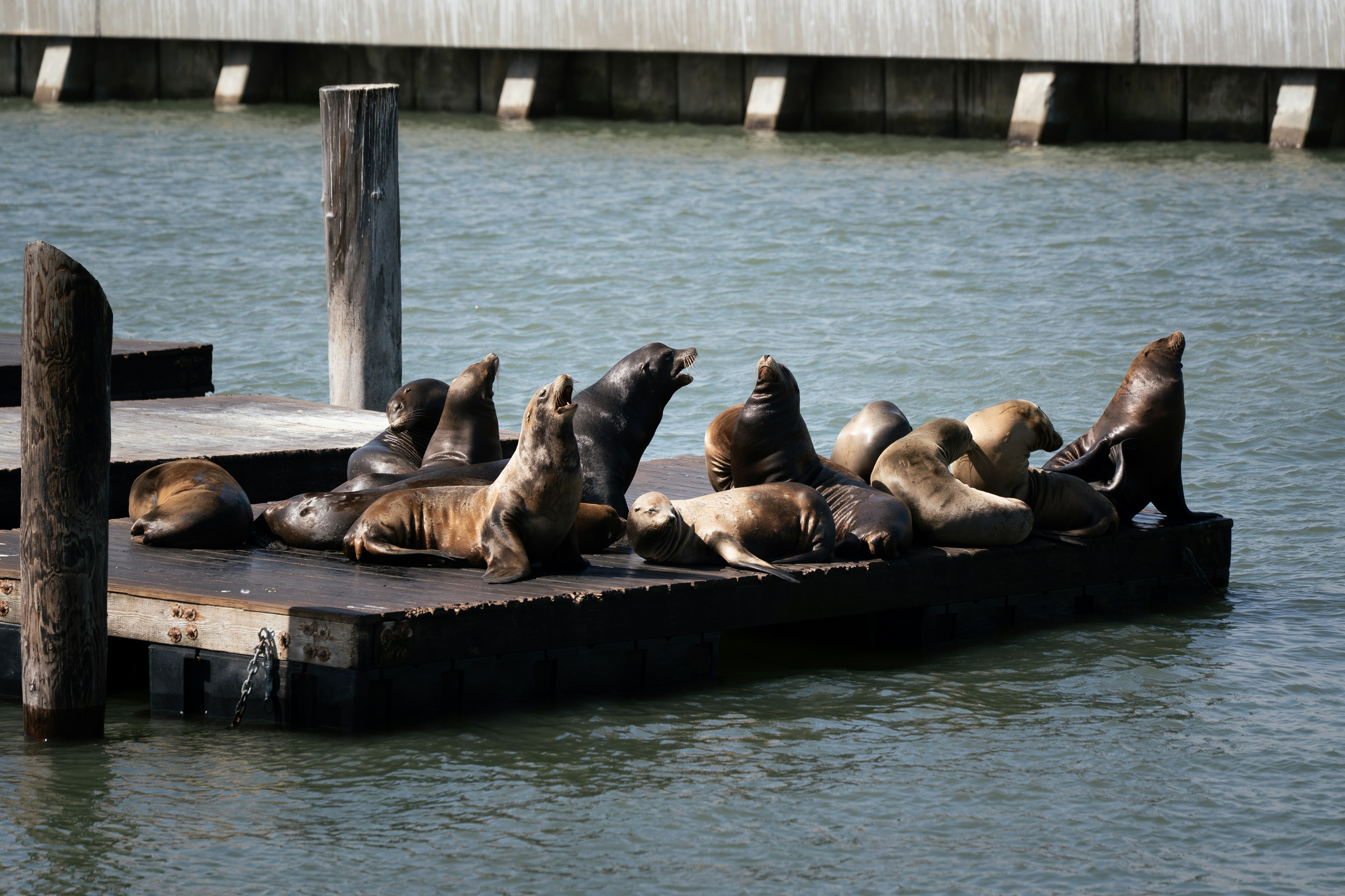 Photo by samtakespictures