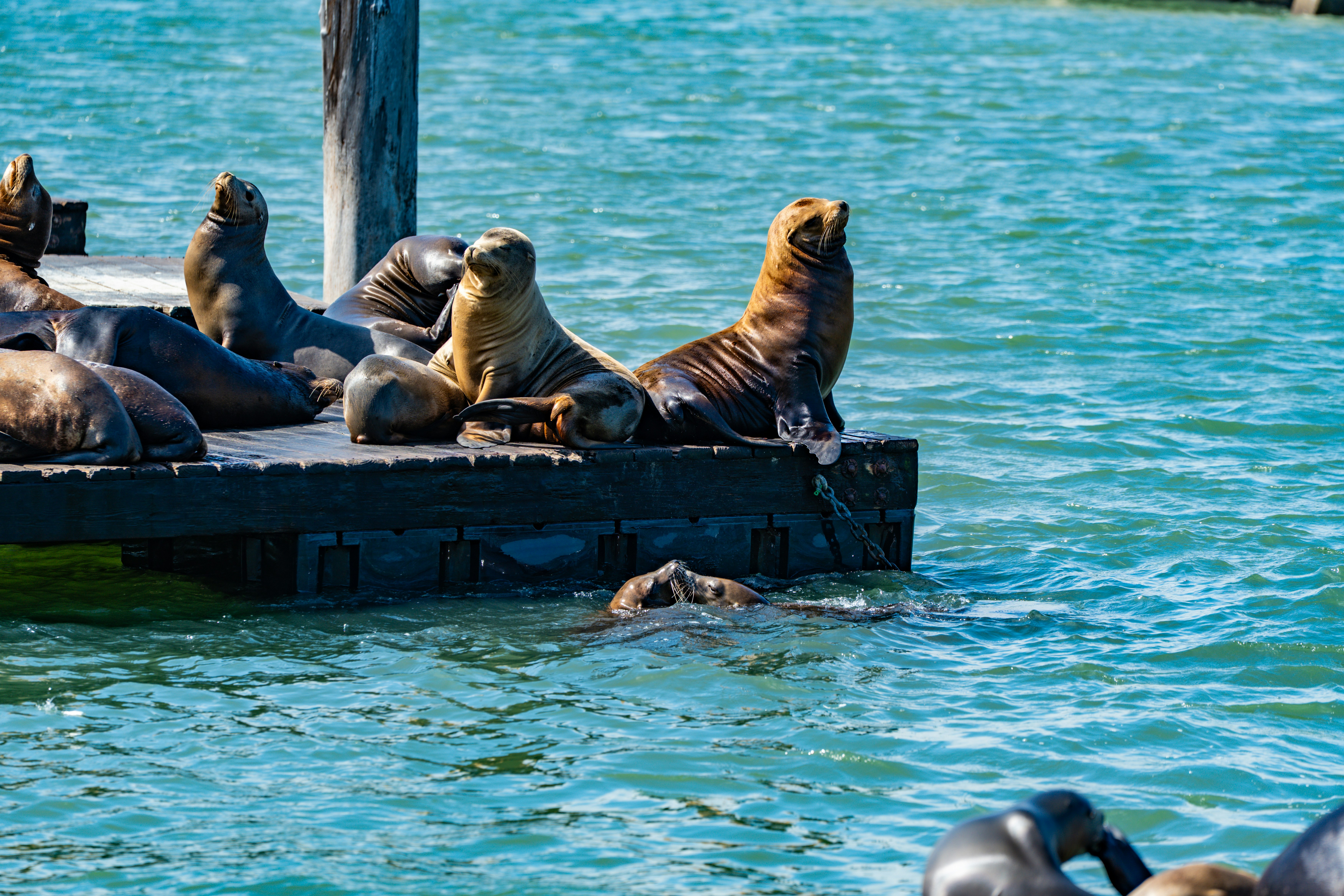 Photo by samtakespictures