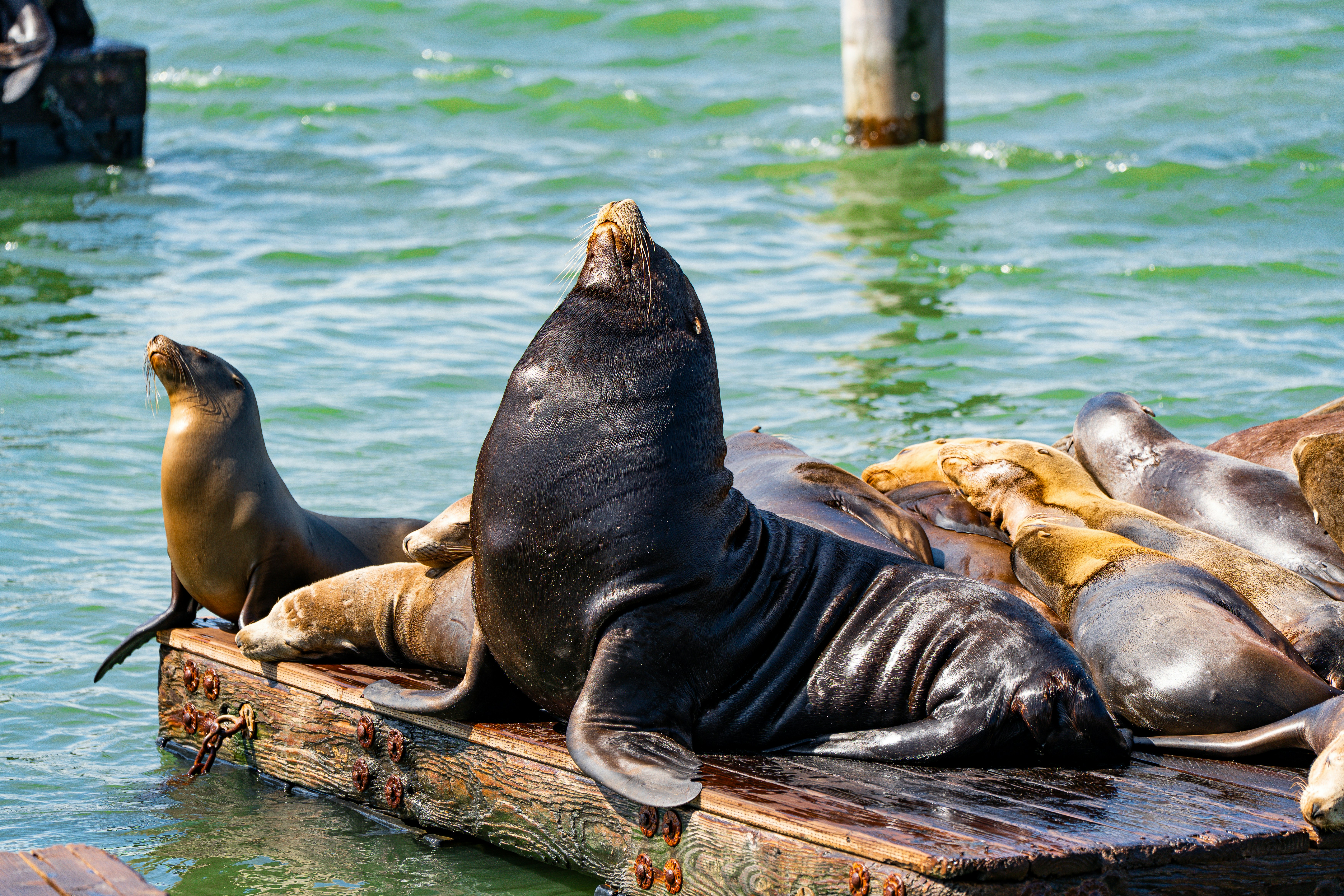 Photo by samtakespictures