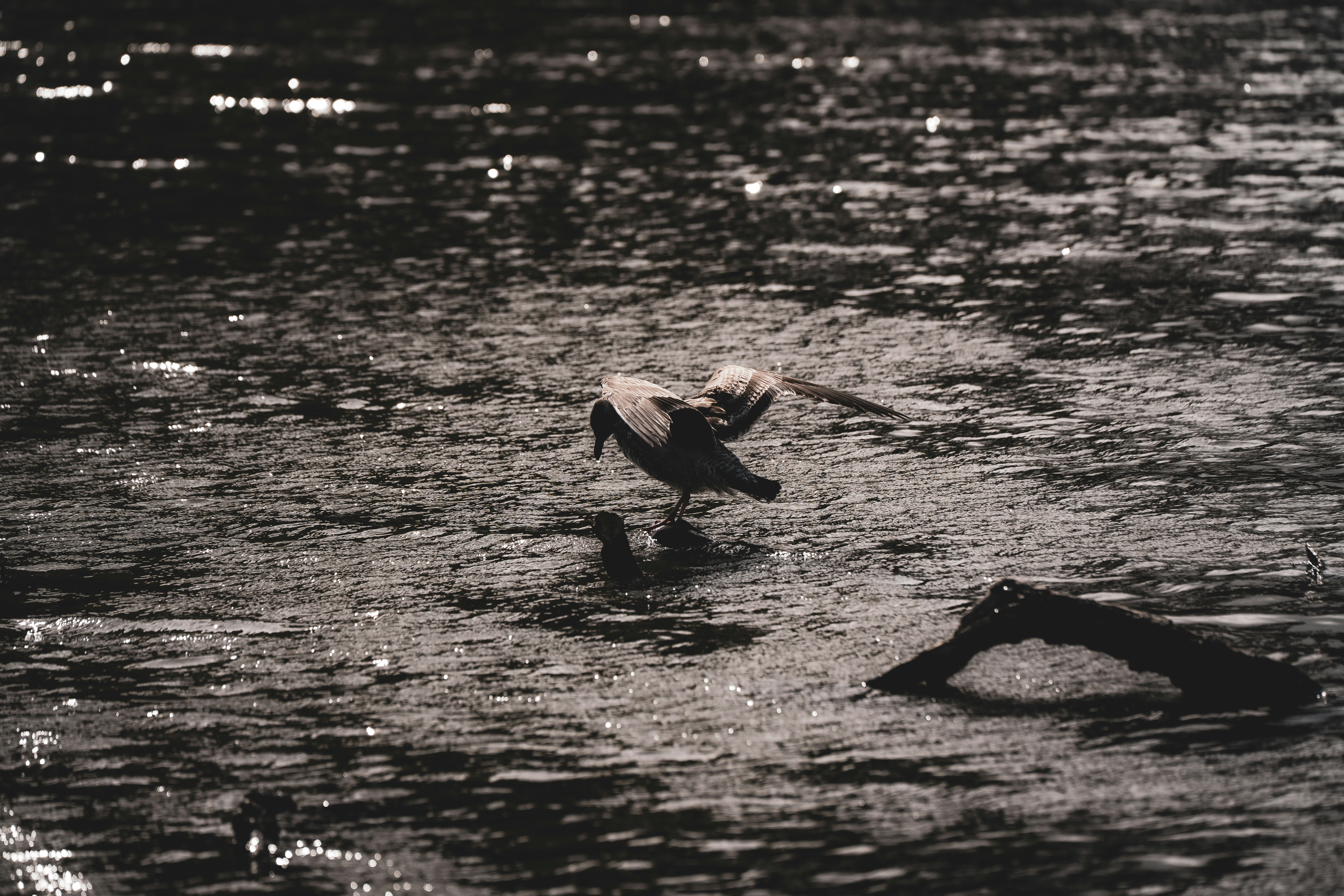 Photo by samtakespictures