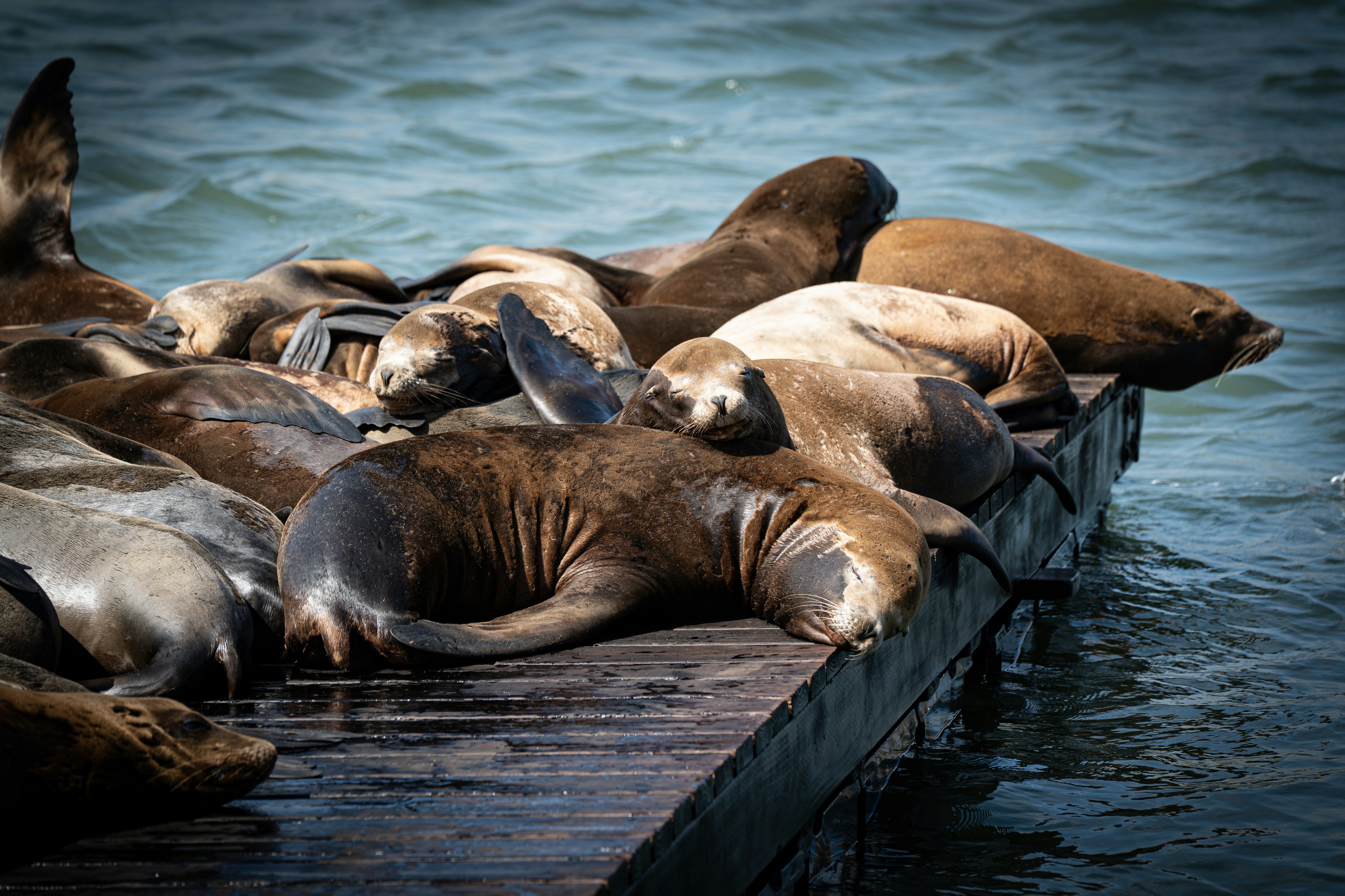 Photo by samtakespictures