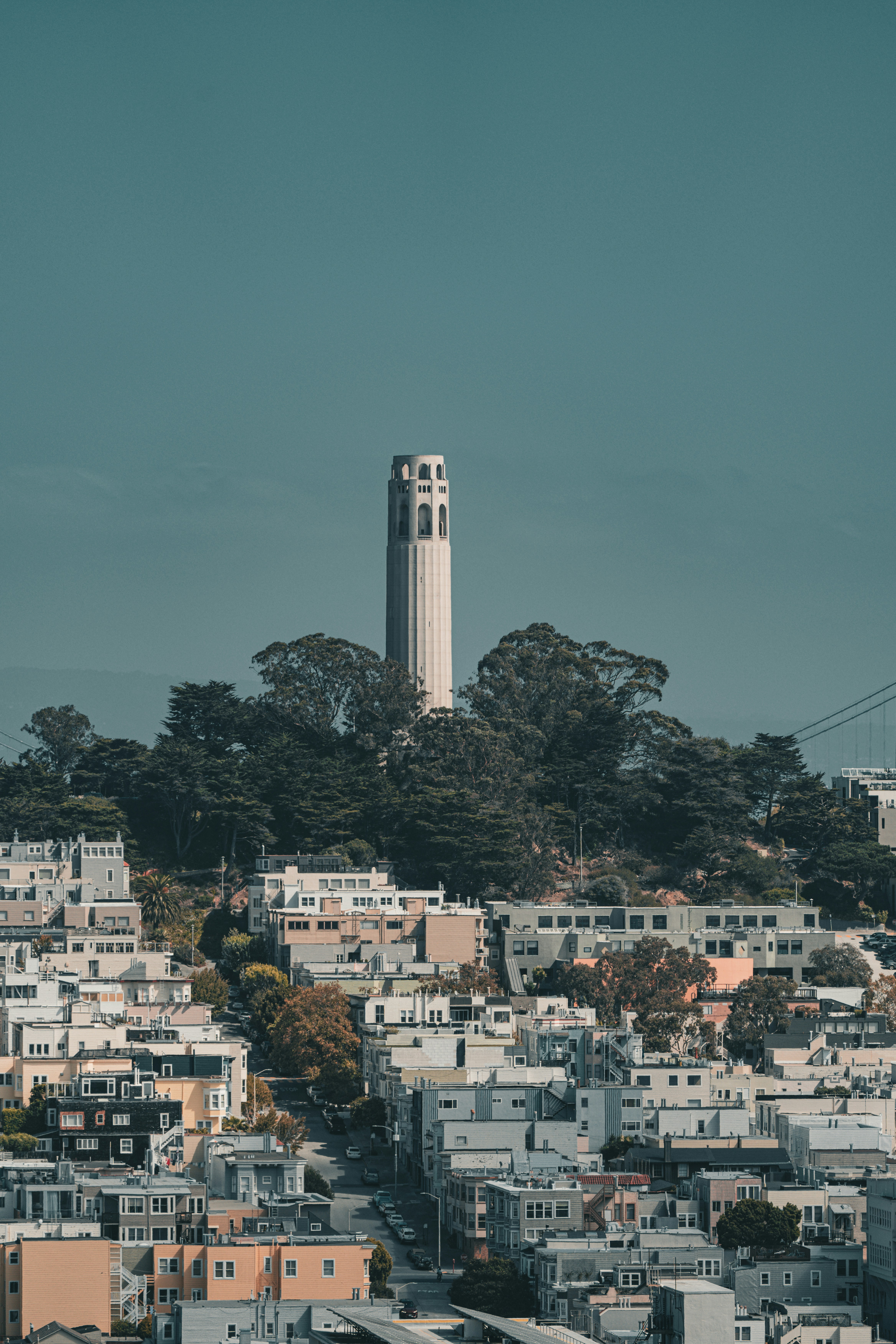 Photo by samtakespictures