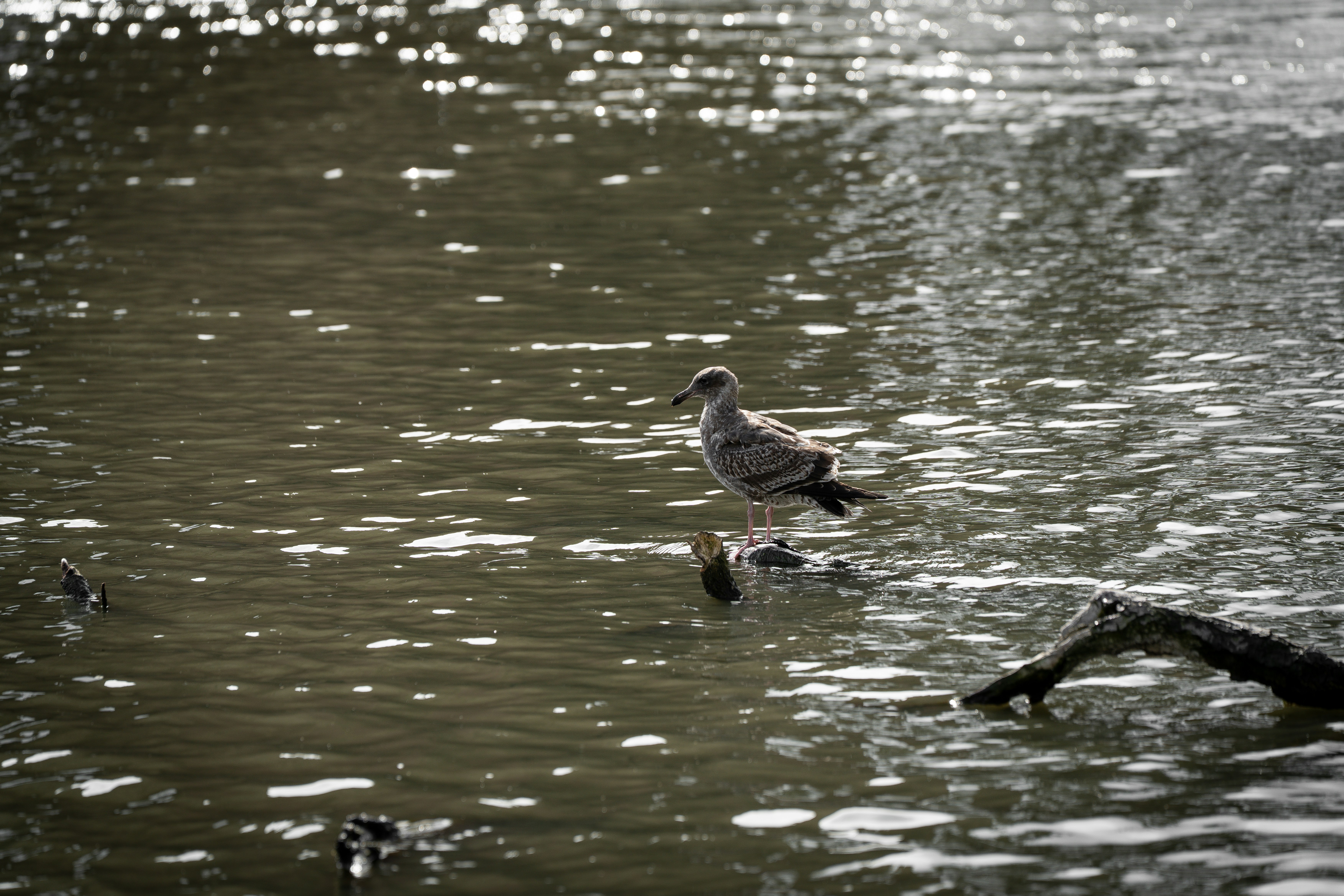 Photo by samtakespictures