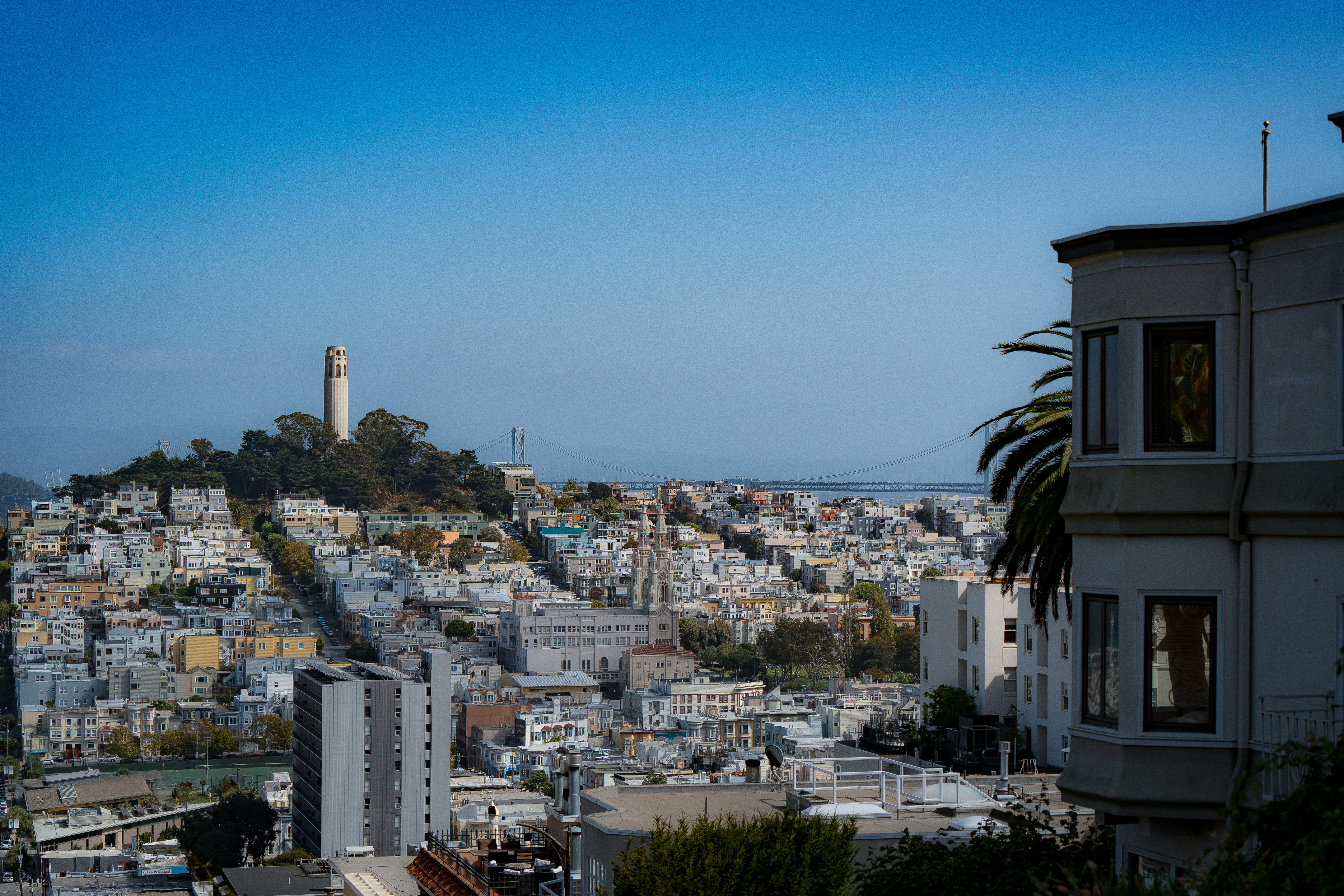 Photo by samtakespictures