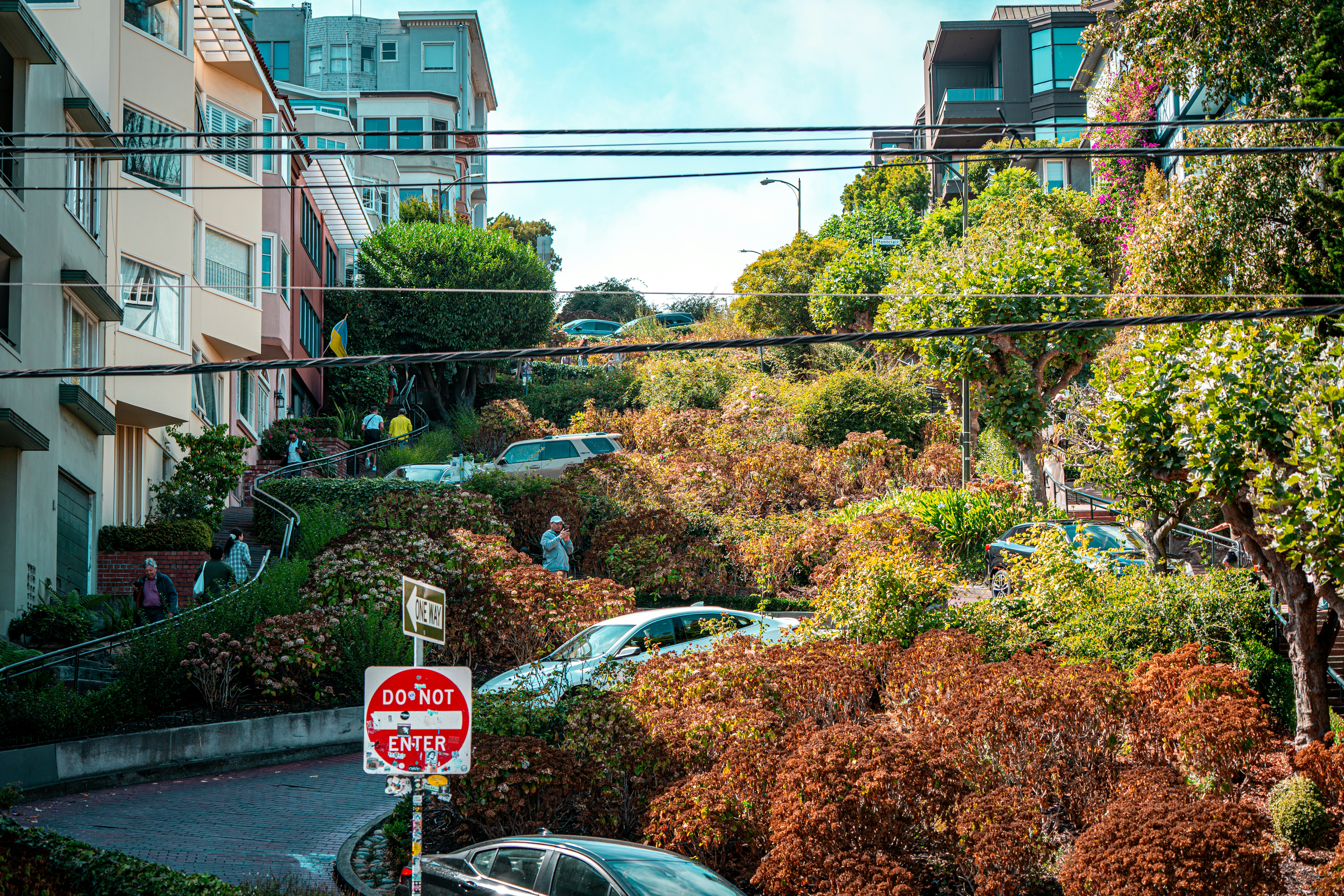 Cars navigate a winding, steep street with lush greenery.