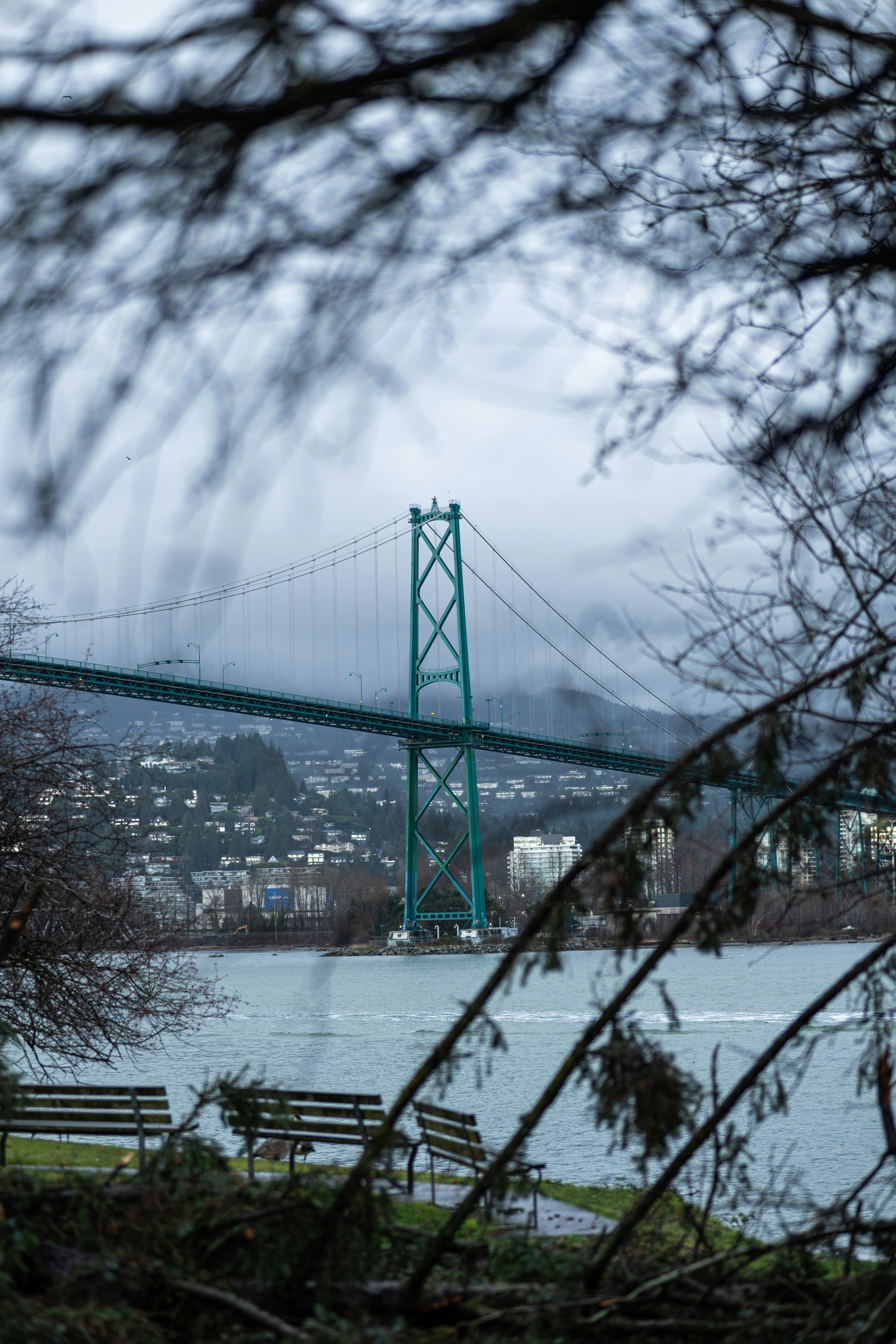 Green suspension bridge over water with city background.