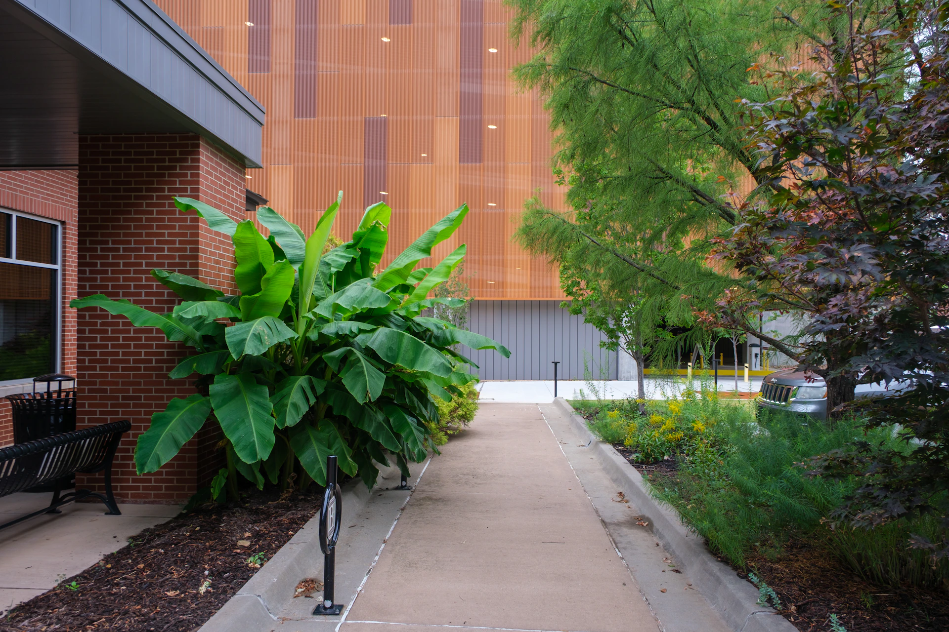 A walkway passes lush green plants and modern building.