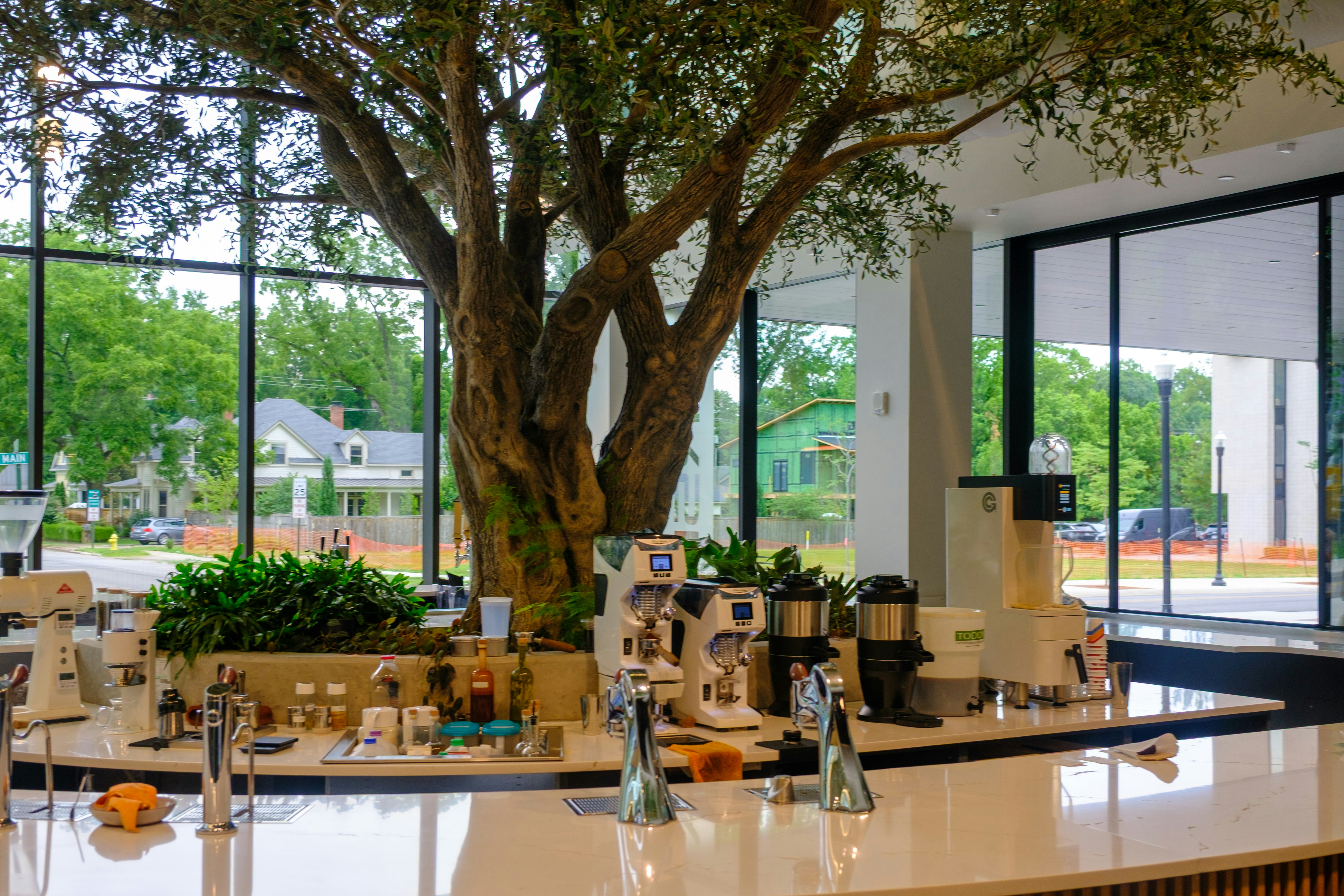 Modern cafe interior with large tree and coffee machines.