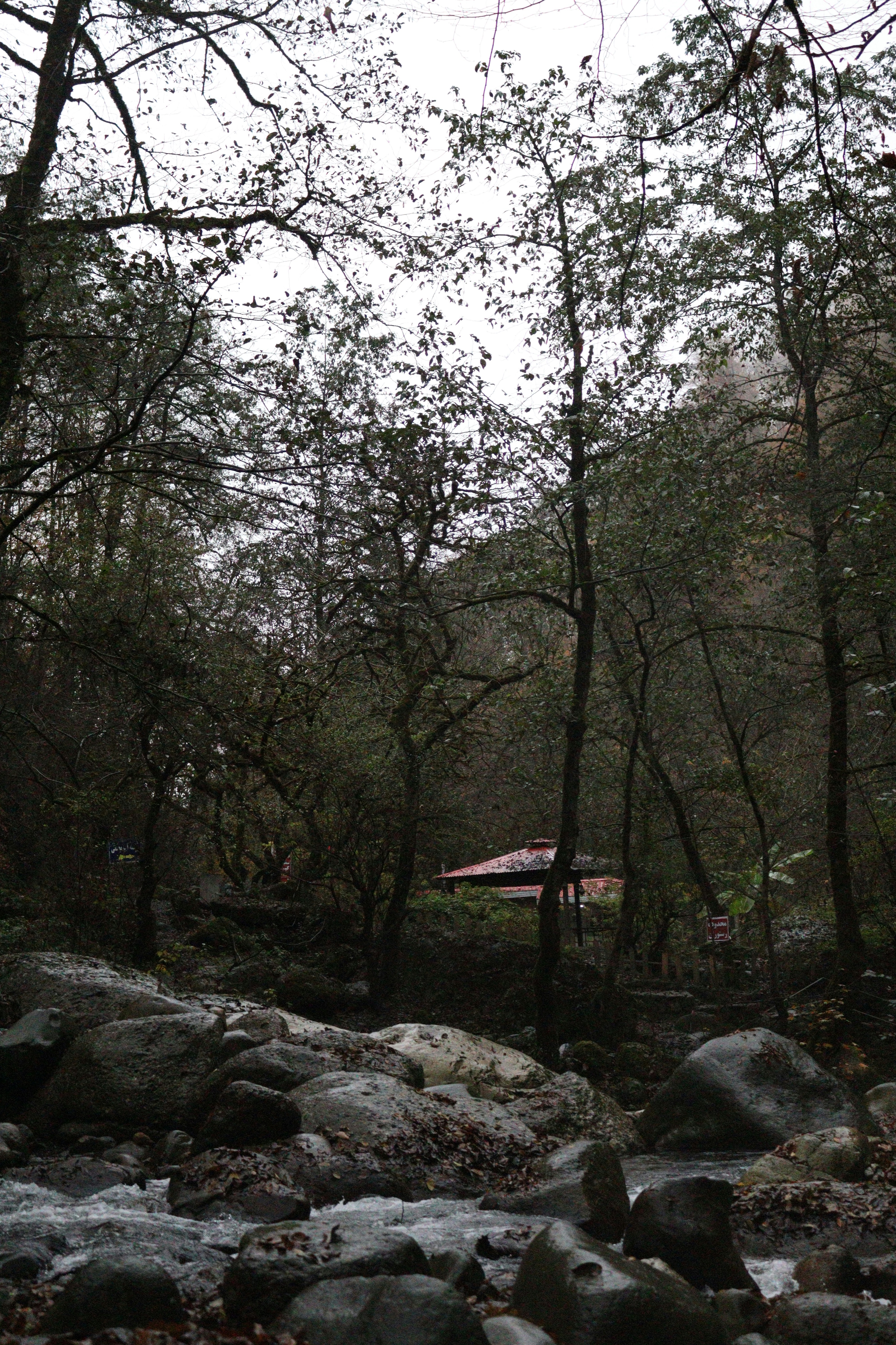 A small red-roofed building nestled among dense trees.