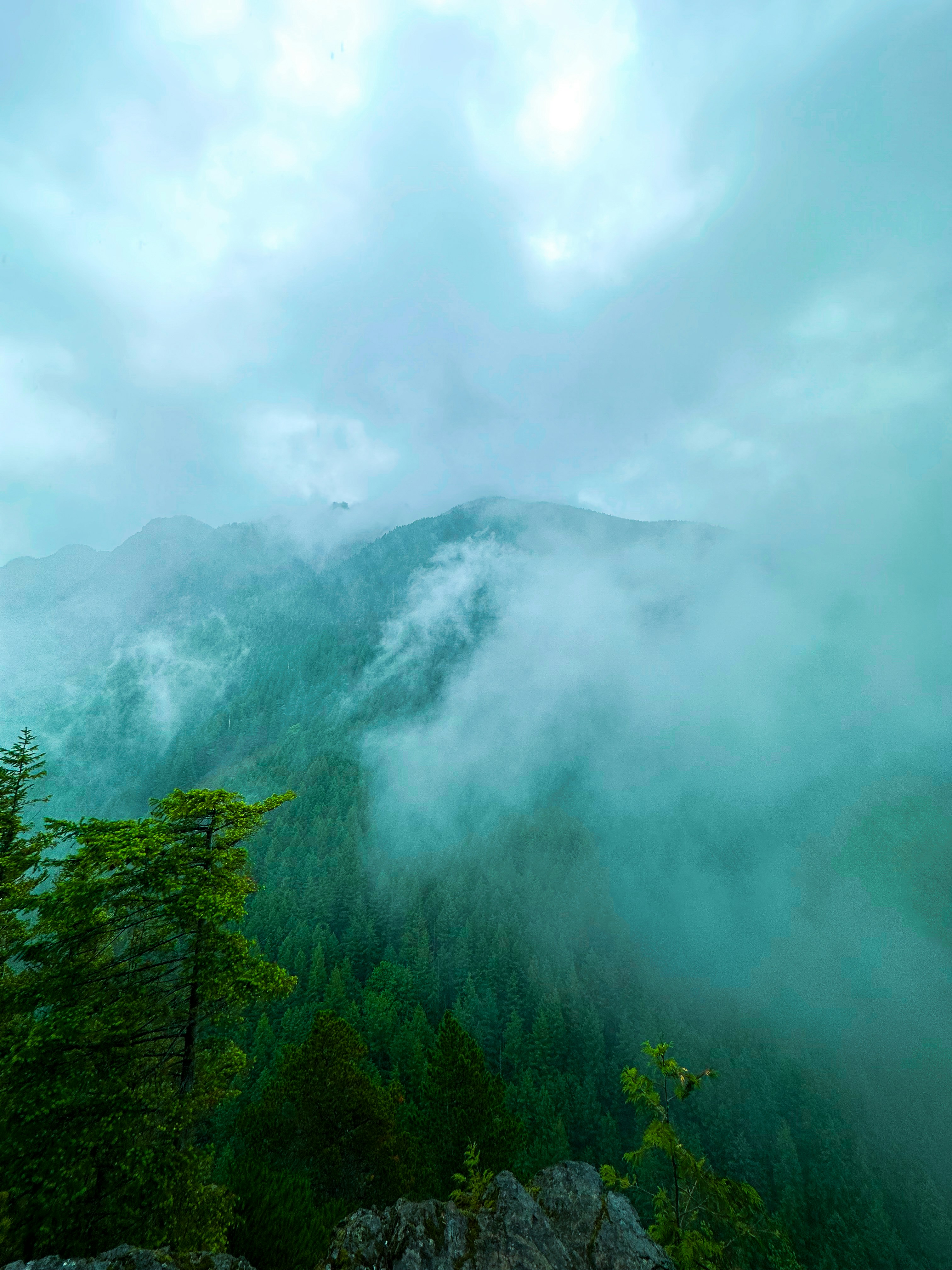 Misty mountains covered in lush green forest foliage.