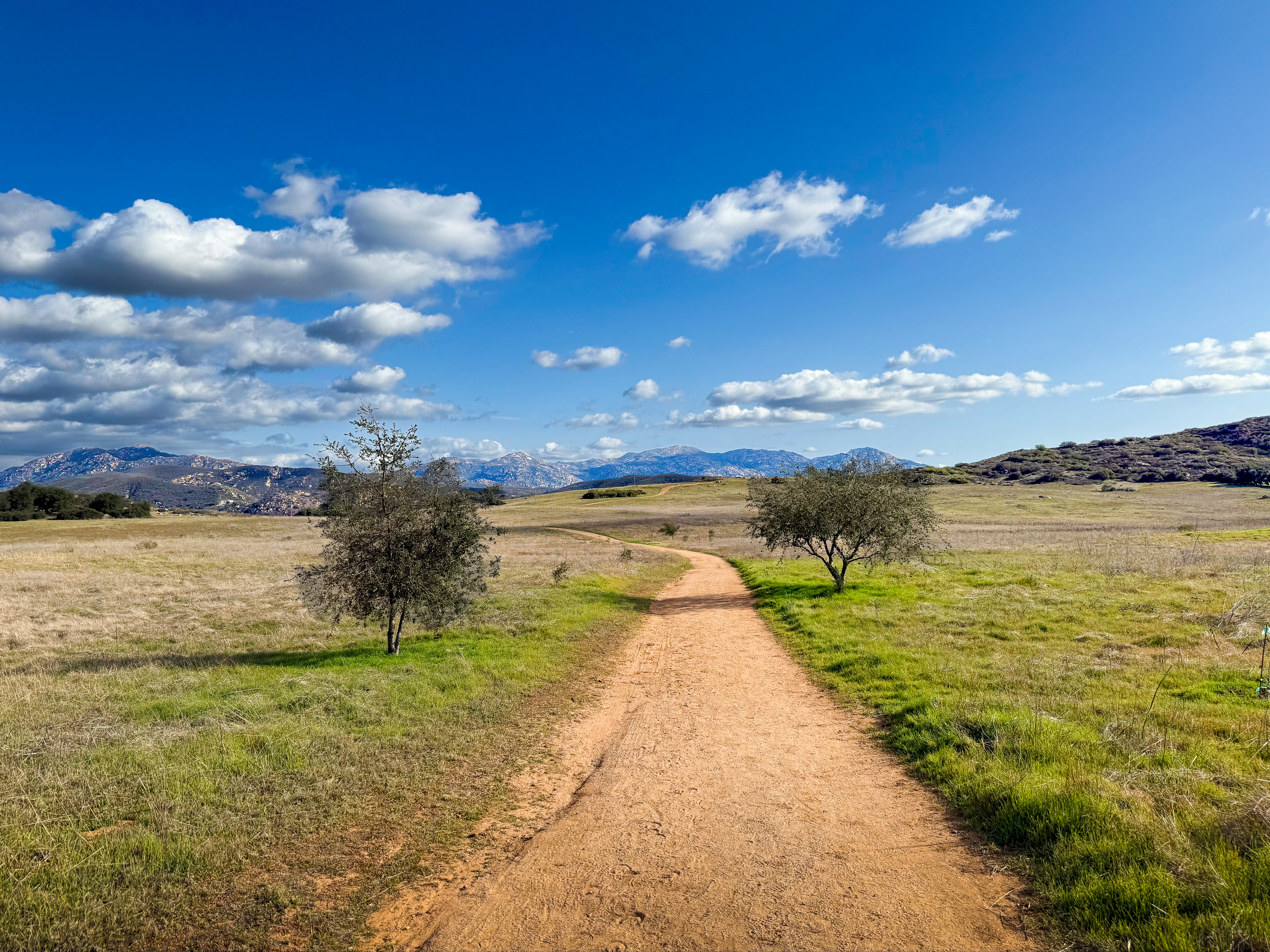 Dirt path through a grassy field with trees and mountains.
