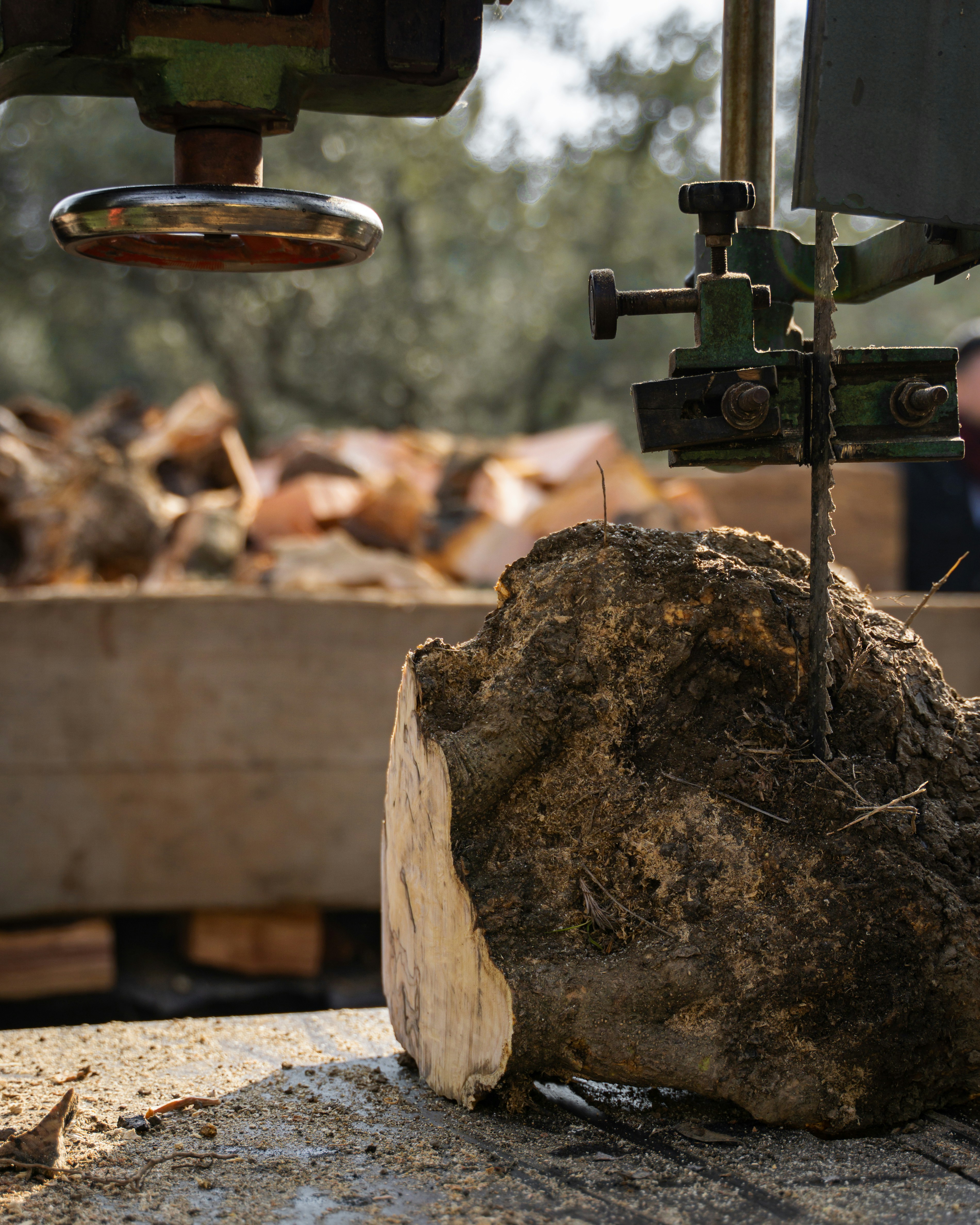 Beyond the Cut: New CRISPR Breakthrough Enables Gene Activation Without DNA Cleavage