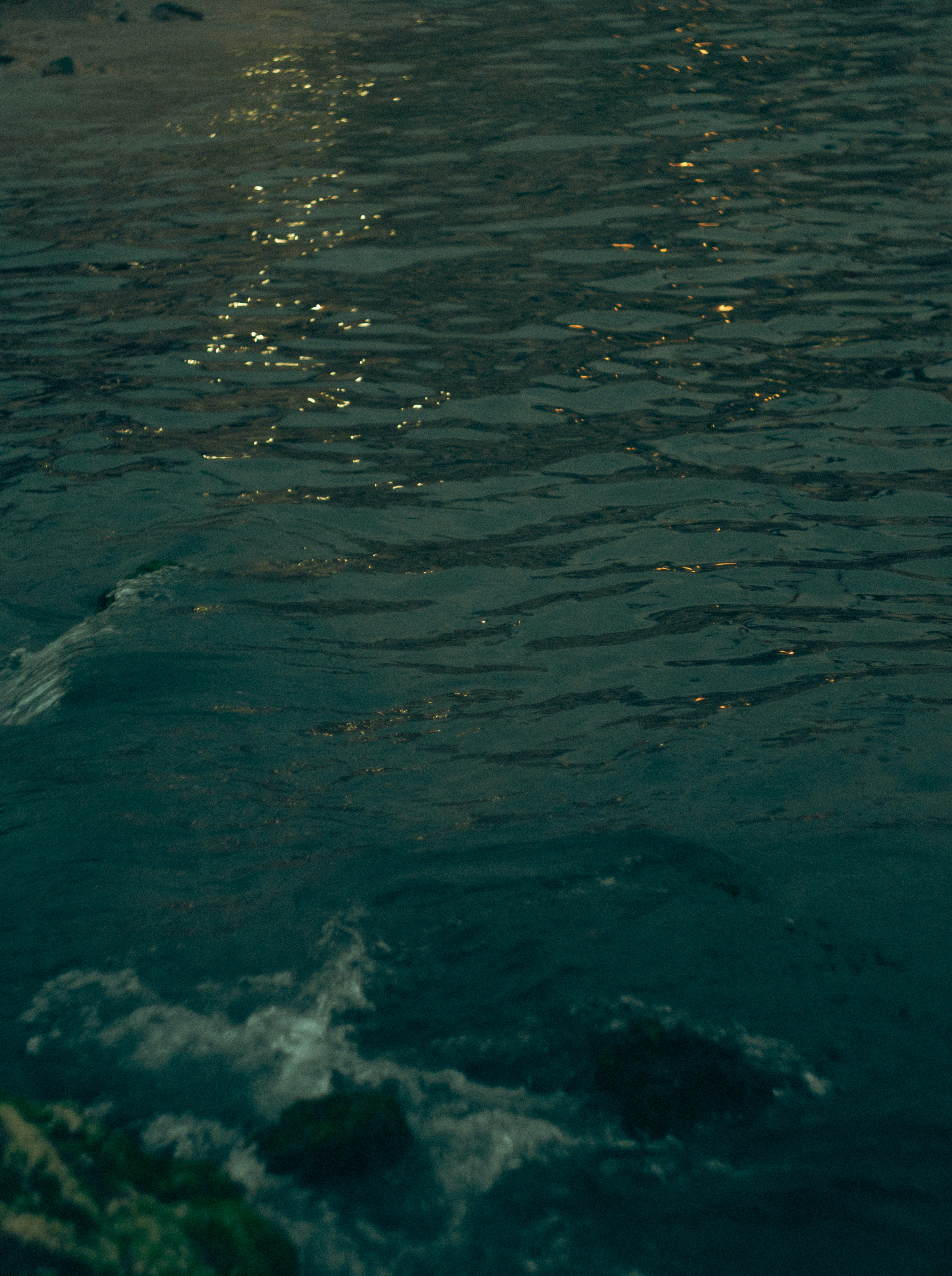 Photo by fethibenattallah