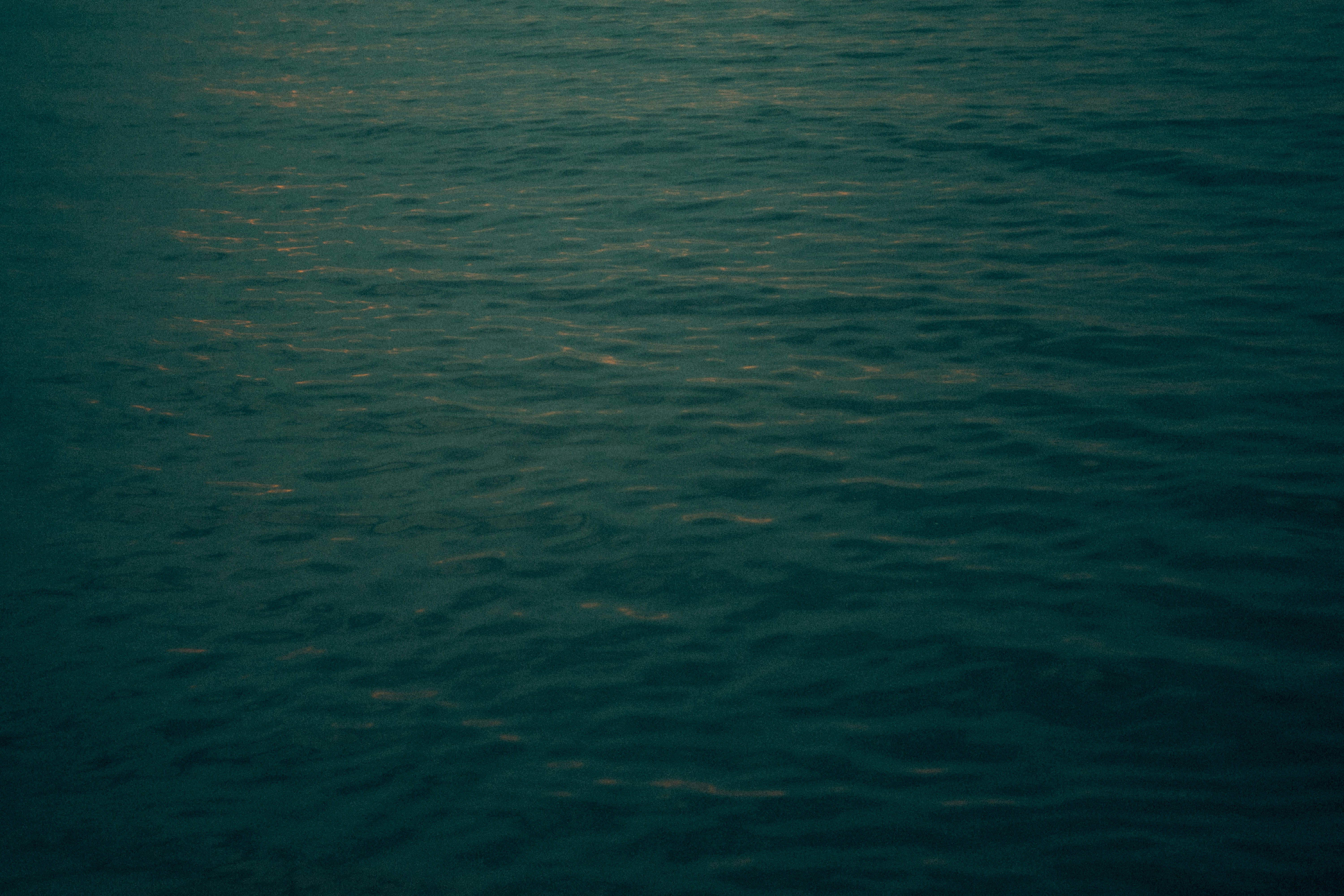 Photo by fethibenattallah