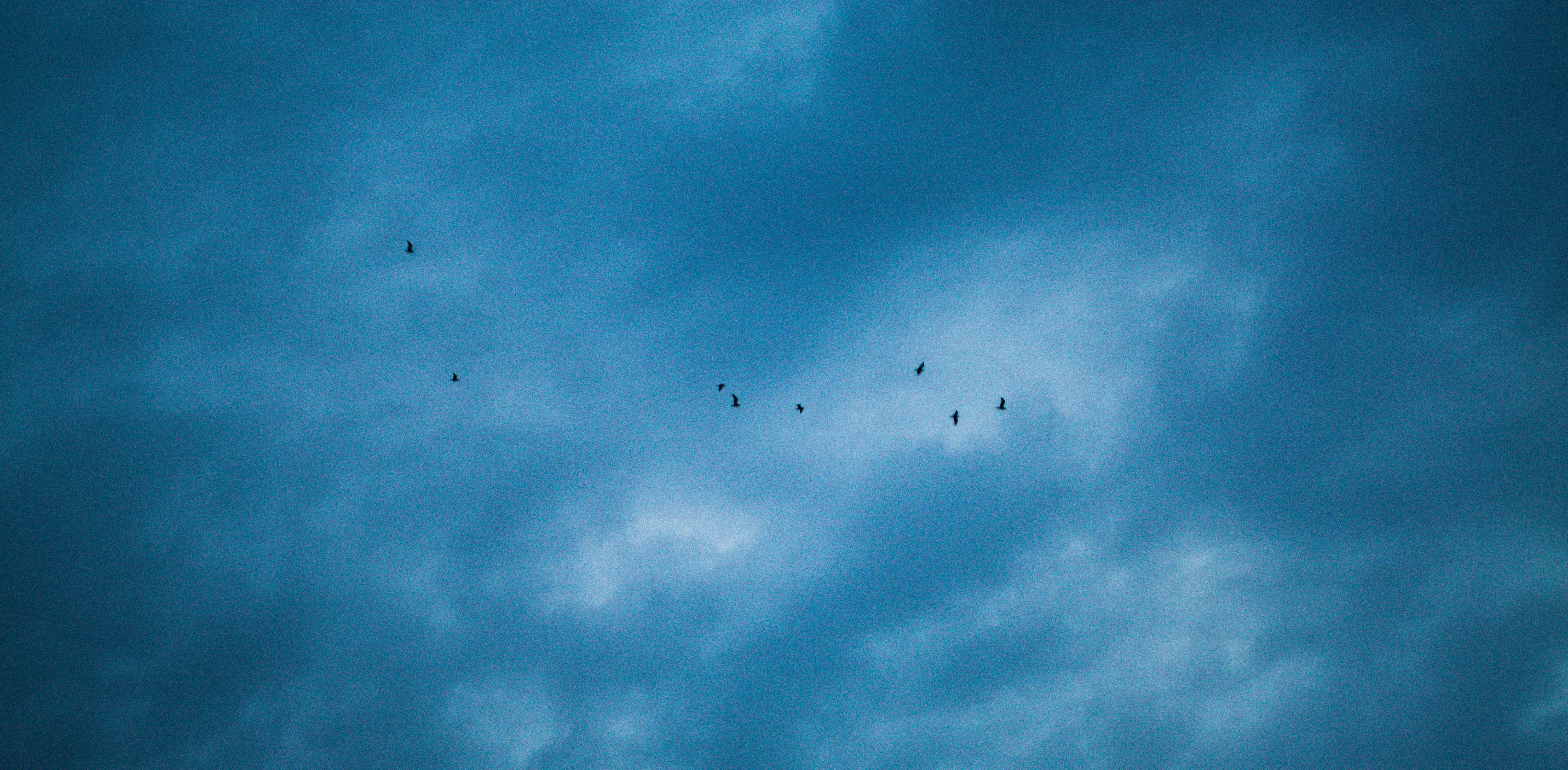 Photo by fethibenattallah